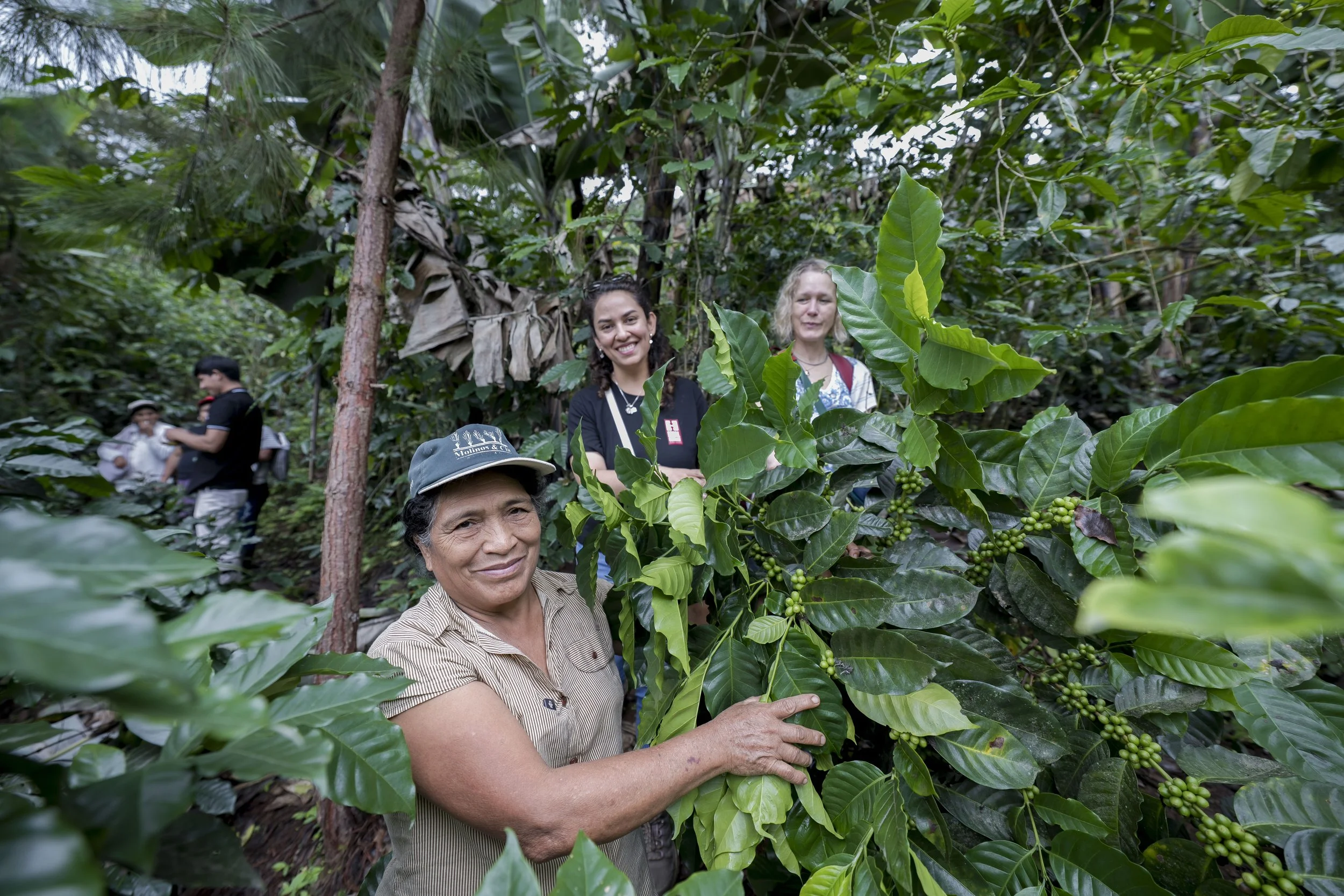 Santos Florentina Lizana Laban with her coffee trees