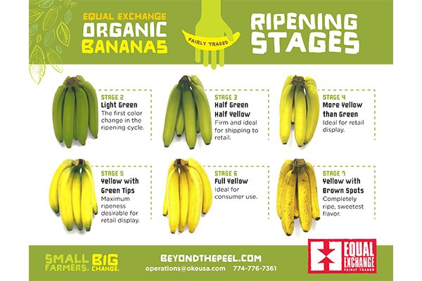 Order Equal Exchange Fair Trade Organic Bananas, Case