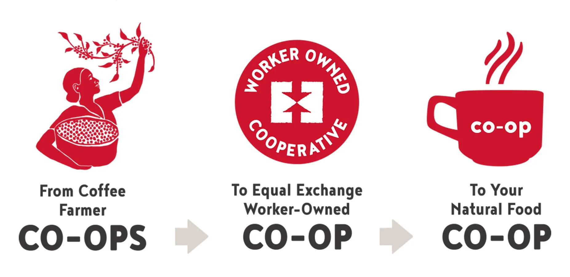 The Equal Exchange supply chain is completely cooperative!