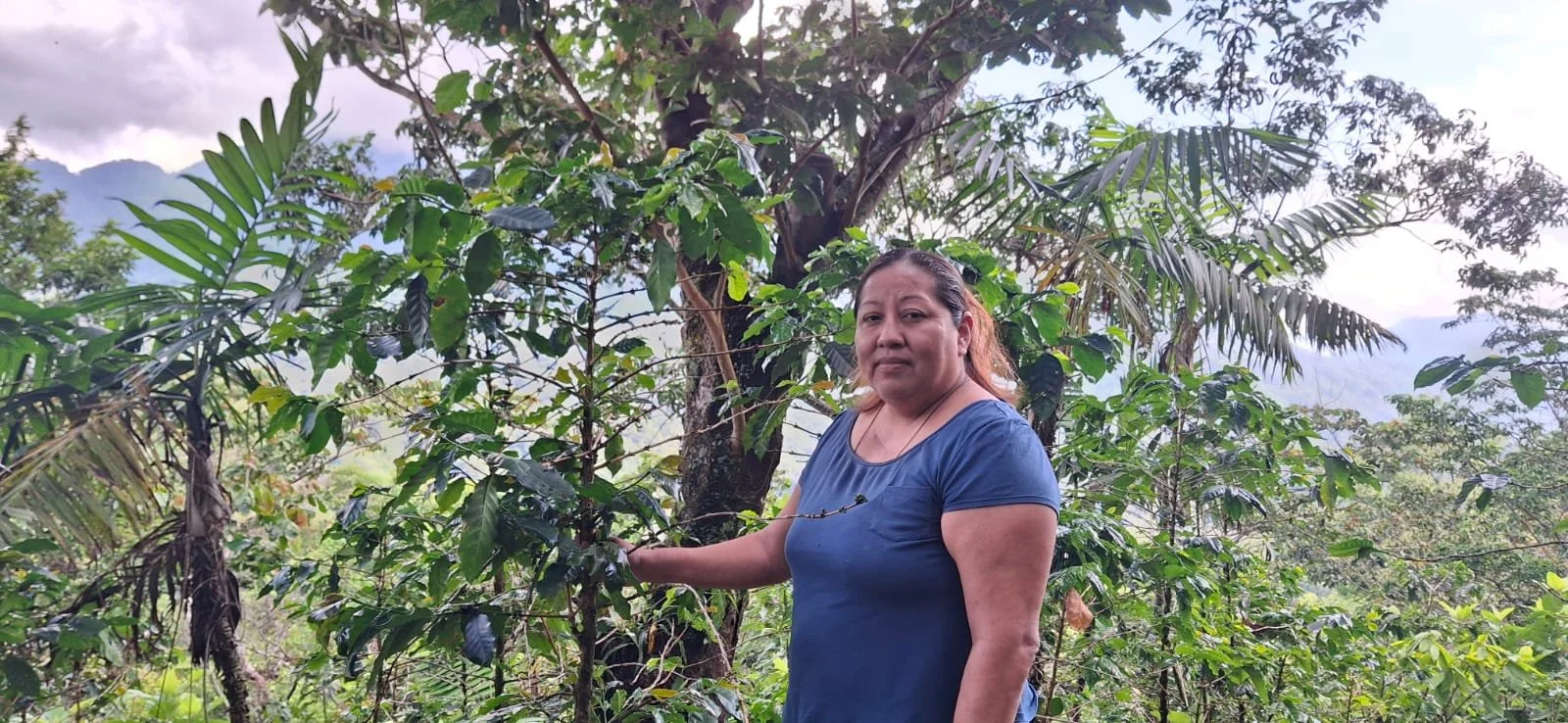 Consuelo Najera Gomez on her coffee farm