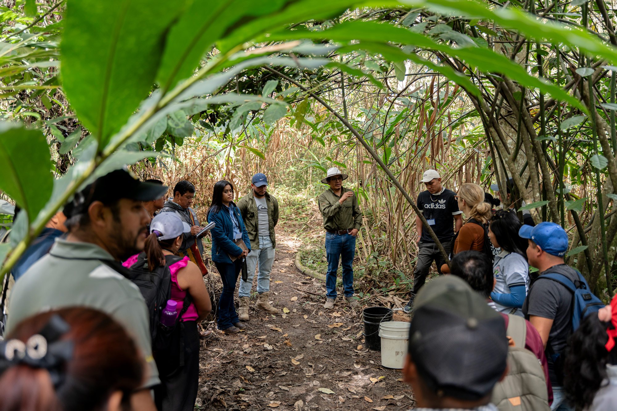 The BioRevolution Project funds soil health initiatives and learning exchanges for coffee farmers.
