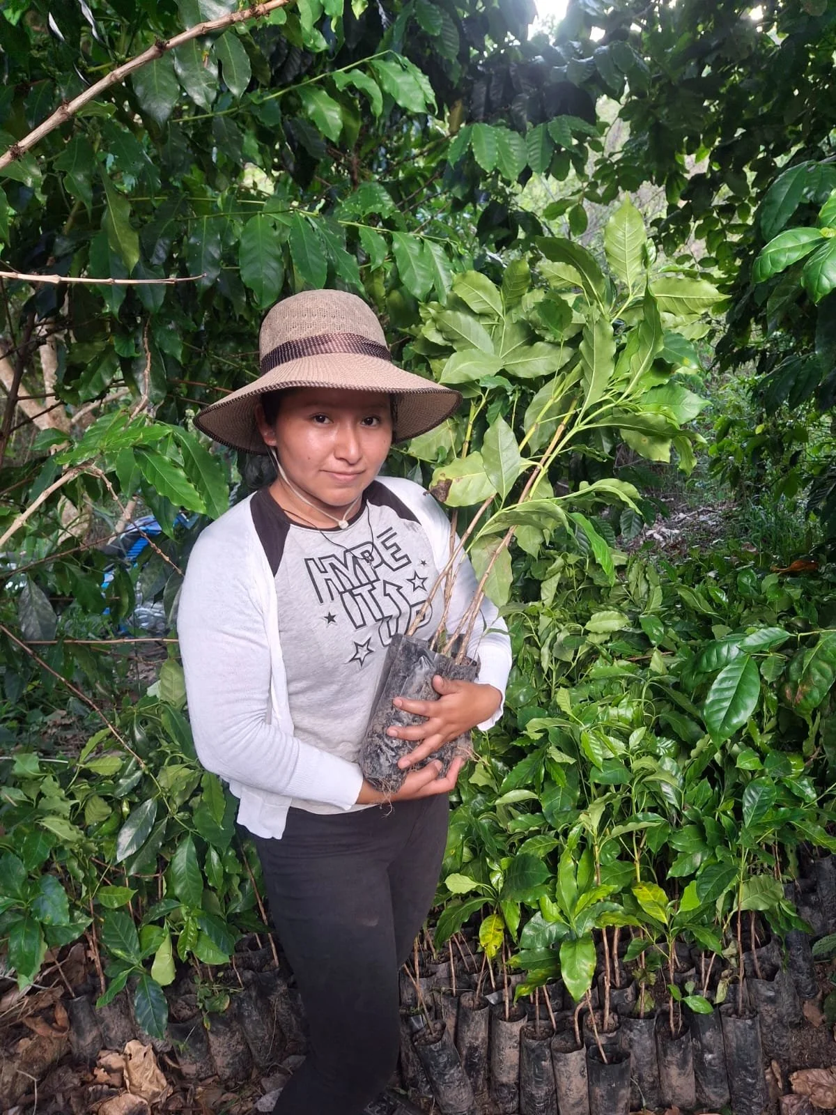 Gabriela Giron Mendez holding a coffee plant ready for planting.