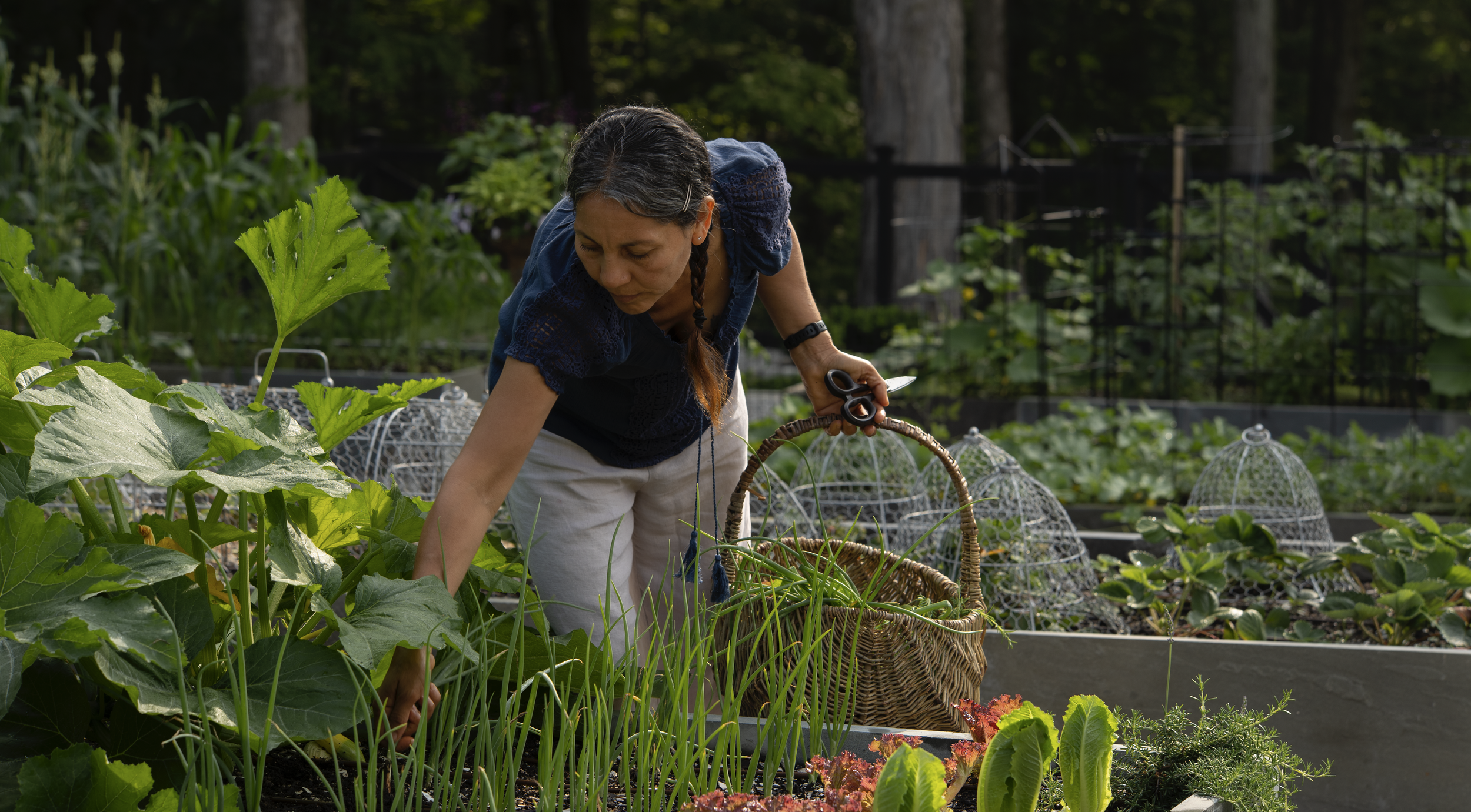 Screenshot 2026-03-29 at 10.50.28 AM.png