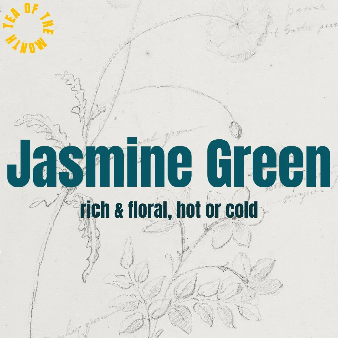 Jasmine Green - Tea of the Month