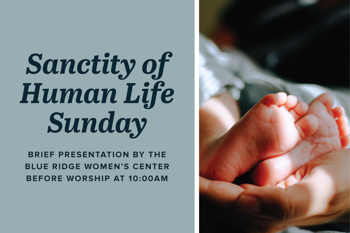 Sanctity of Human Life Sunday