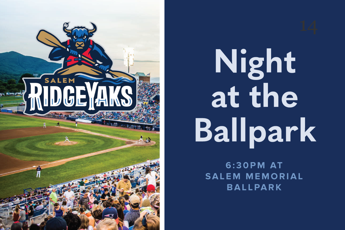 Night at the Ballpark