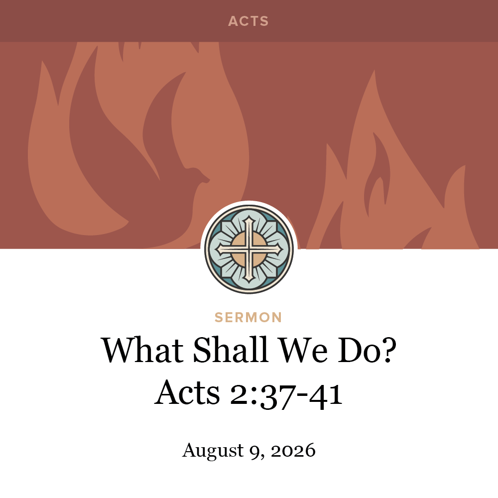 What Shall We Do? - Acts 2:37-41