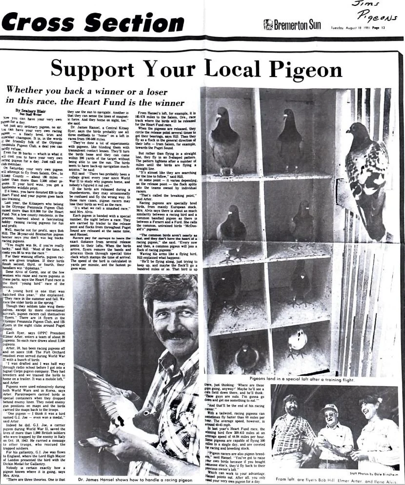 Support your local pigeon.JPG
