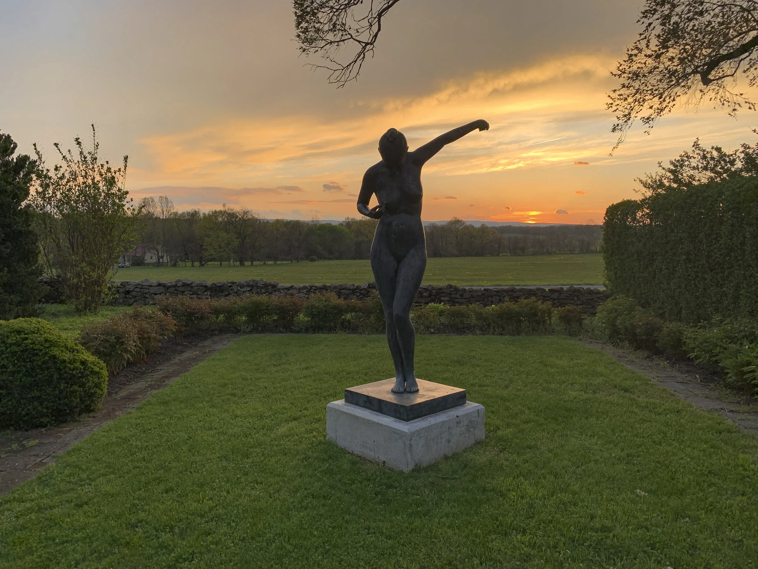 2021-04-25 19.49.30.jpg