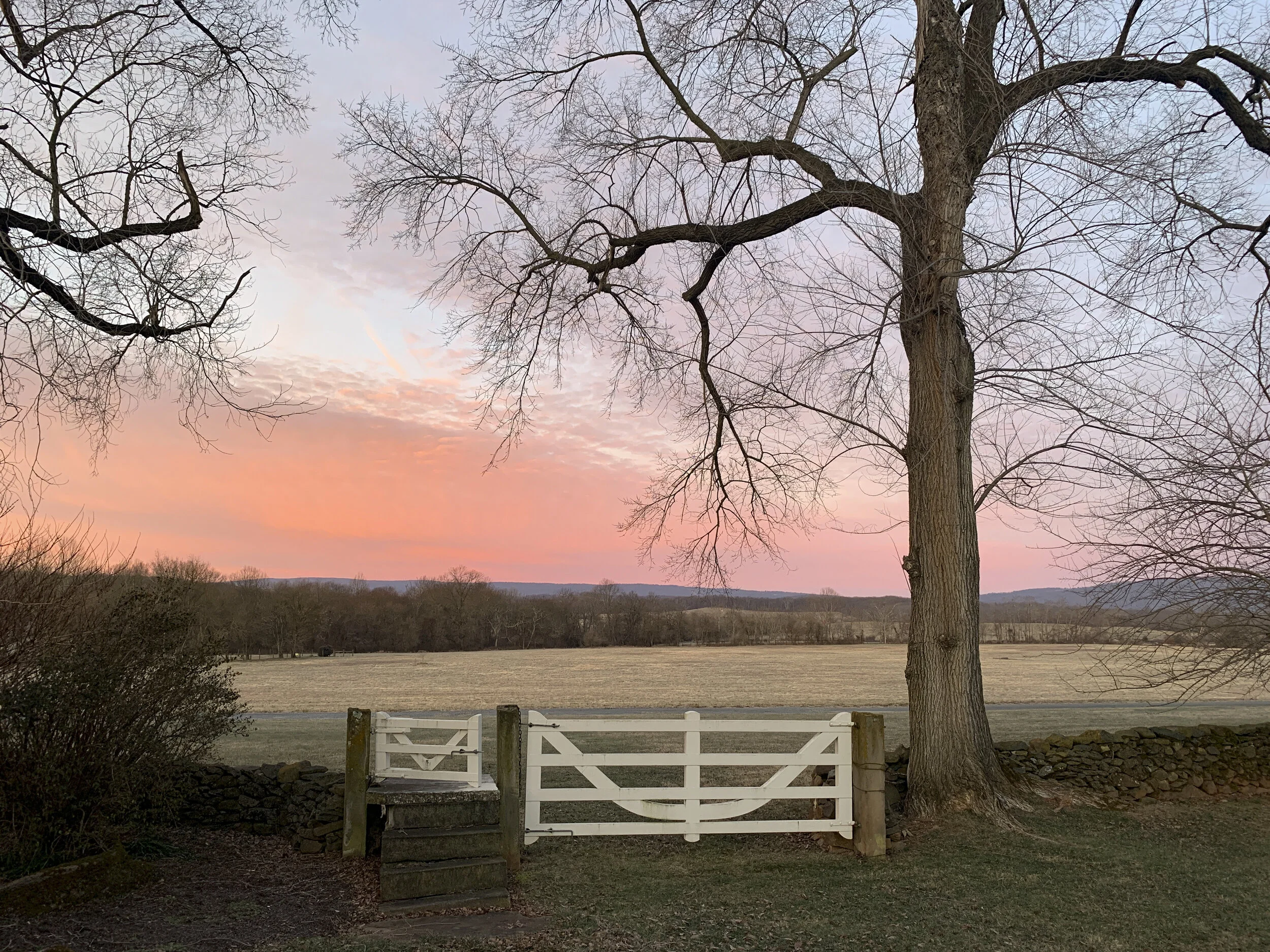 2020-12-27 07.27.38.jpg