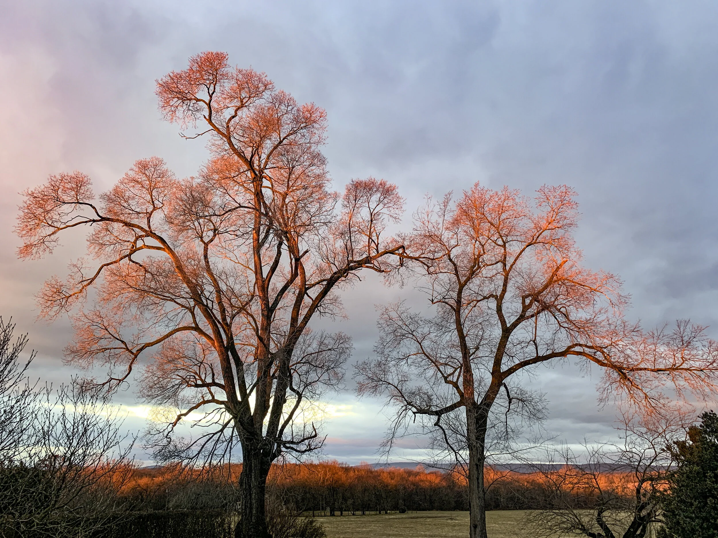 2021-01-27 07.29.04.jpg