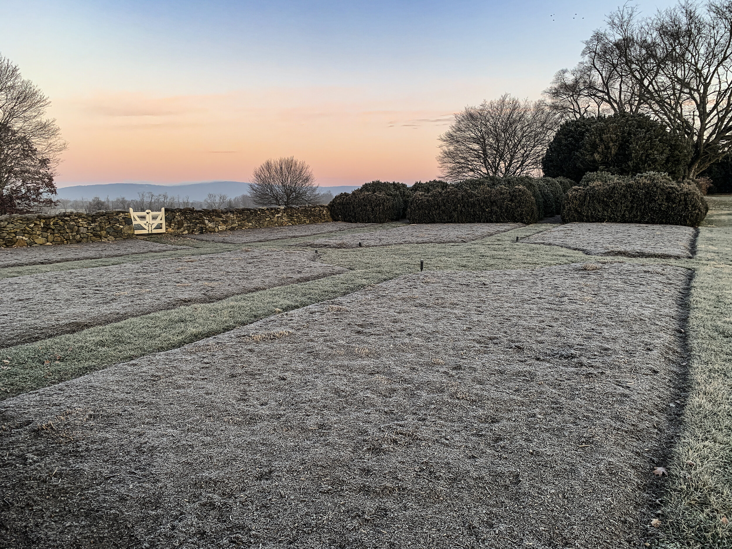 2021-01-12 07.29.45.jpg