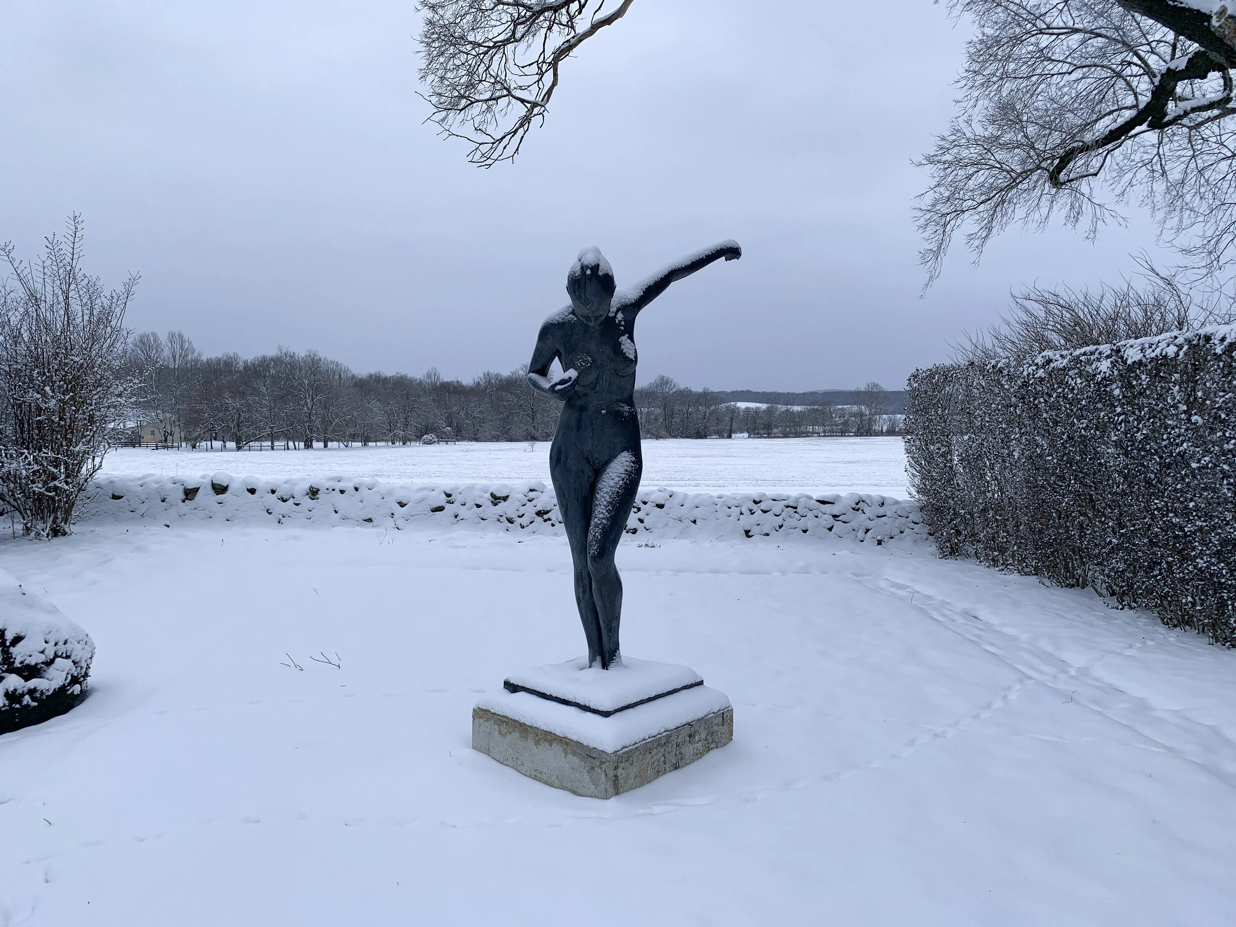 2021-02-01 08.21.07.jpg