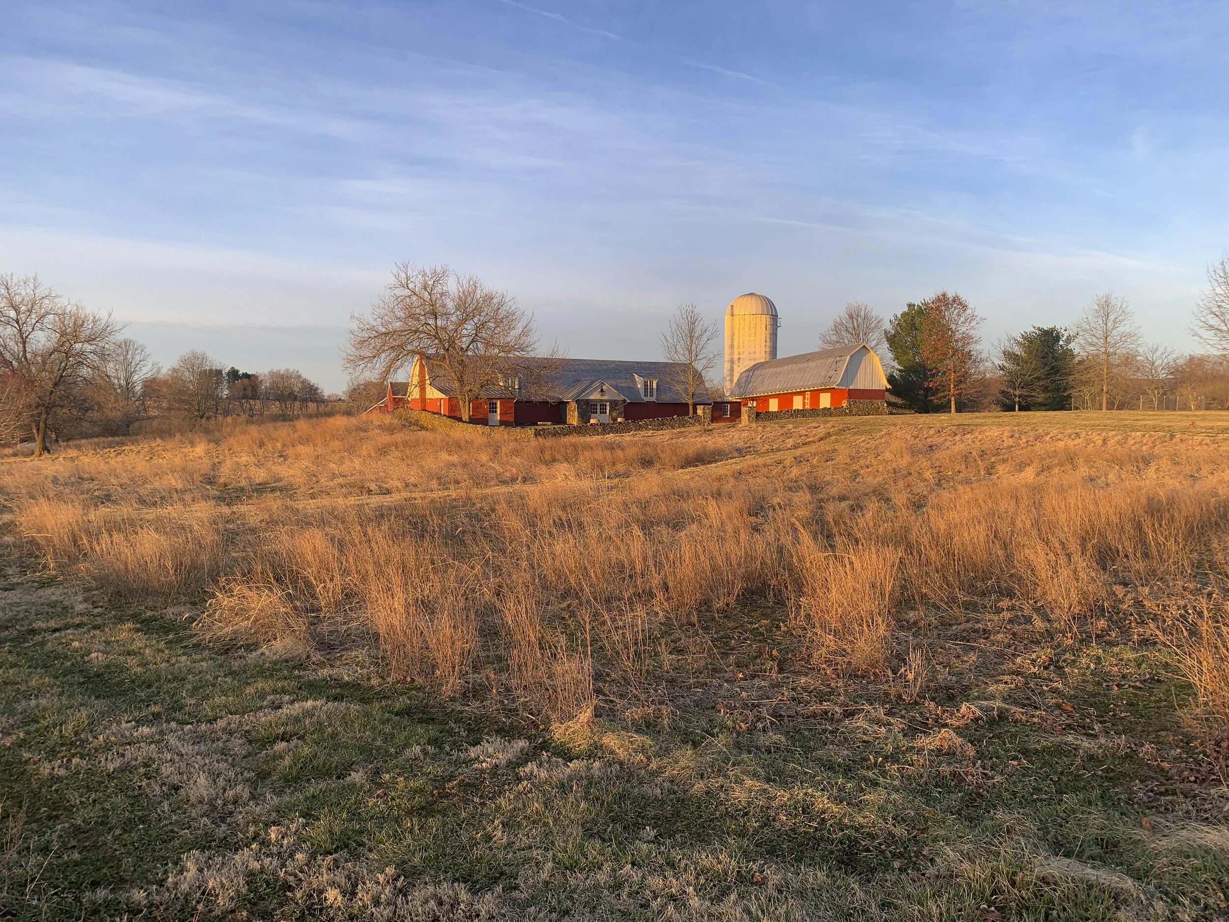 2021-03-15 07.42.21.jpg