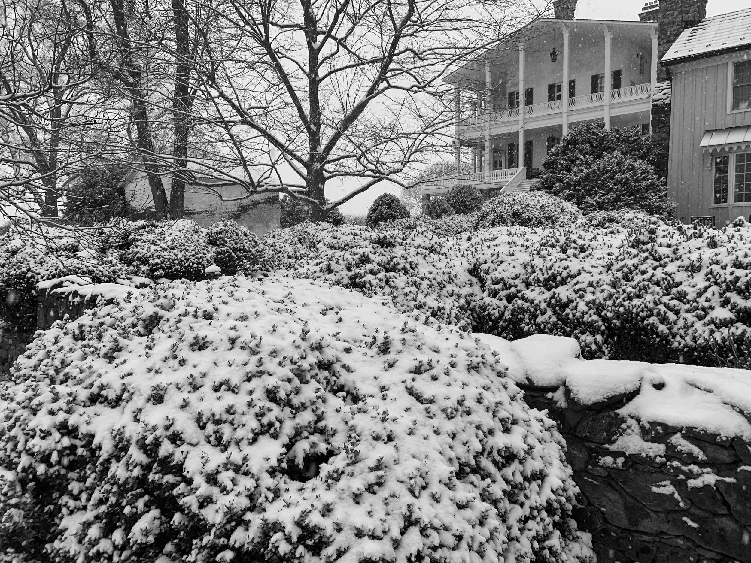 2021-01-31 07.40.56.jpg