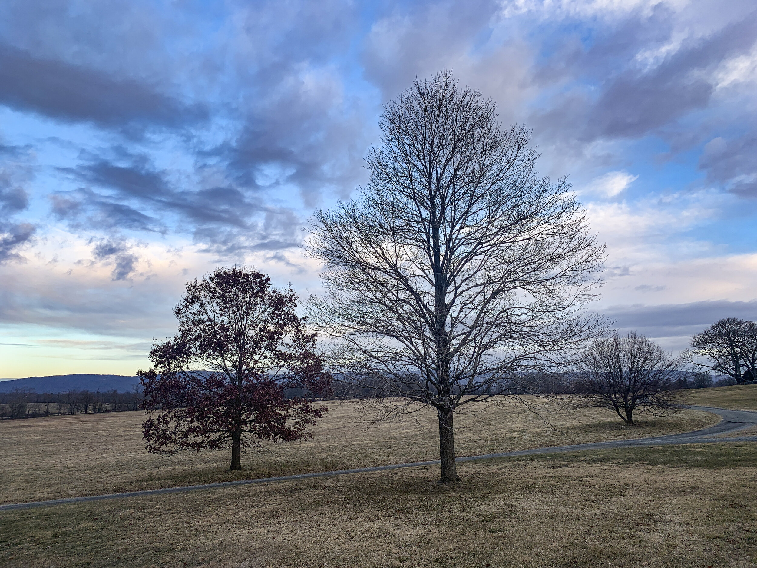 2021-01-18 07.52.27.jpg