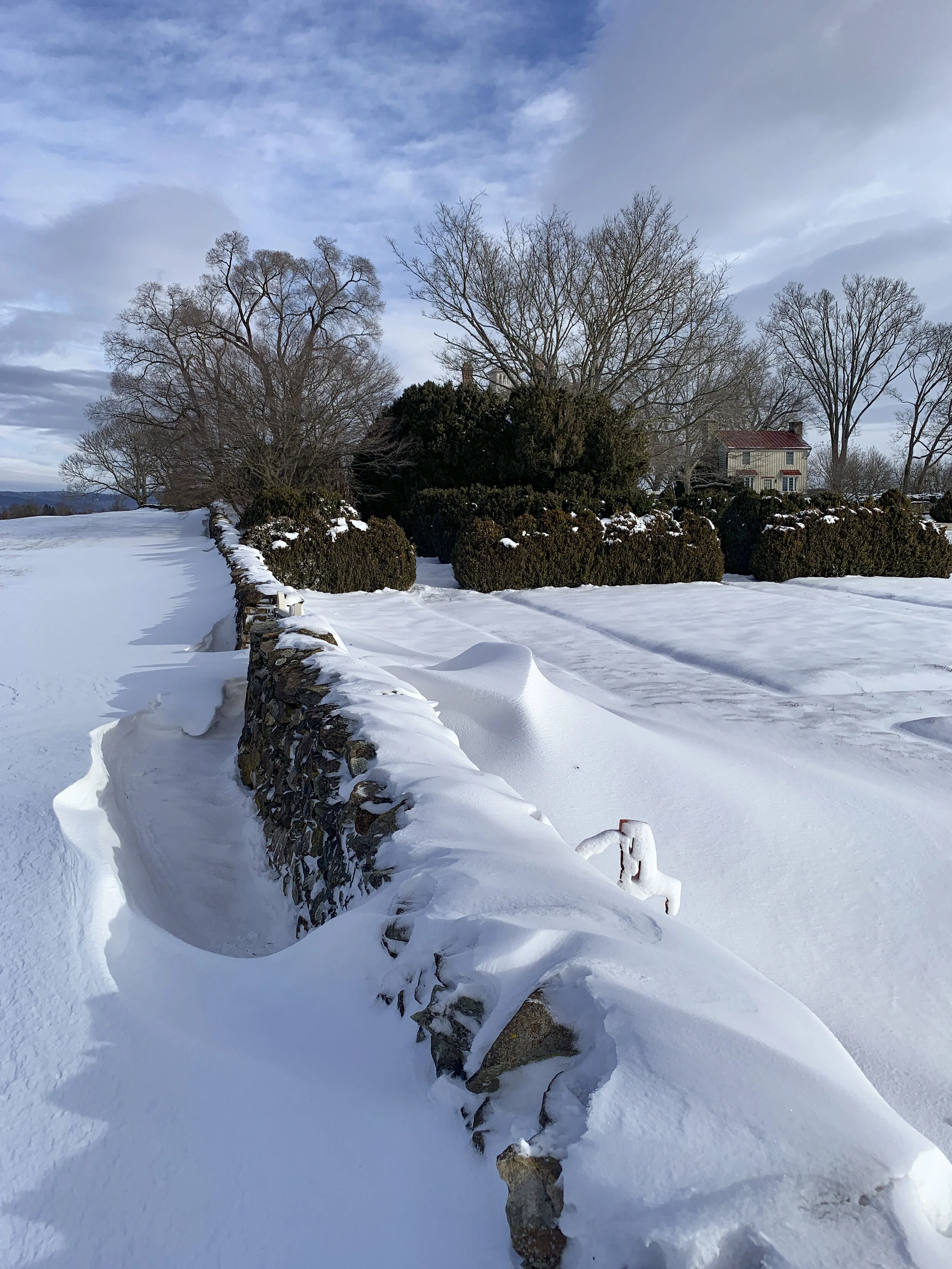 2021-02-03 09.17.25.jpg