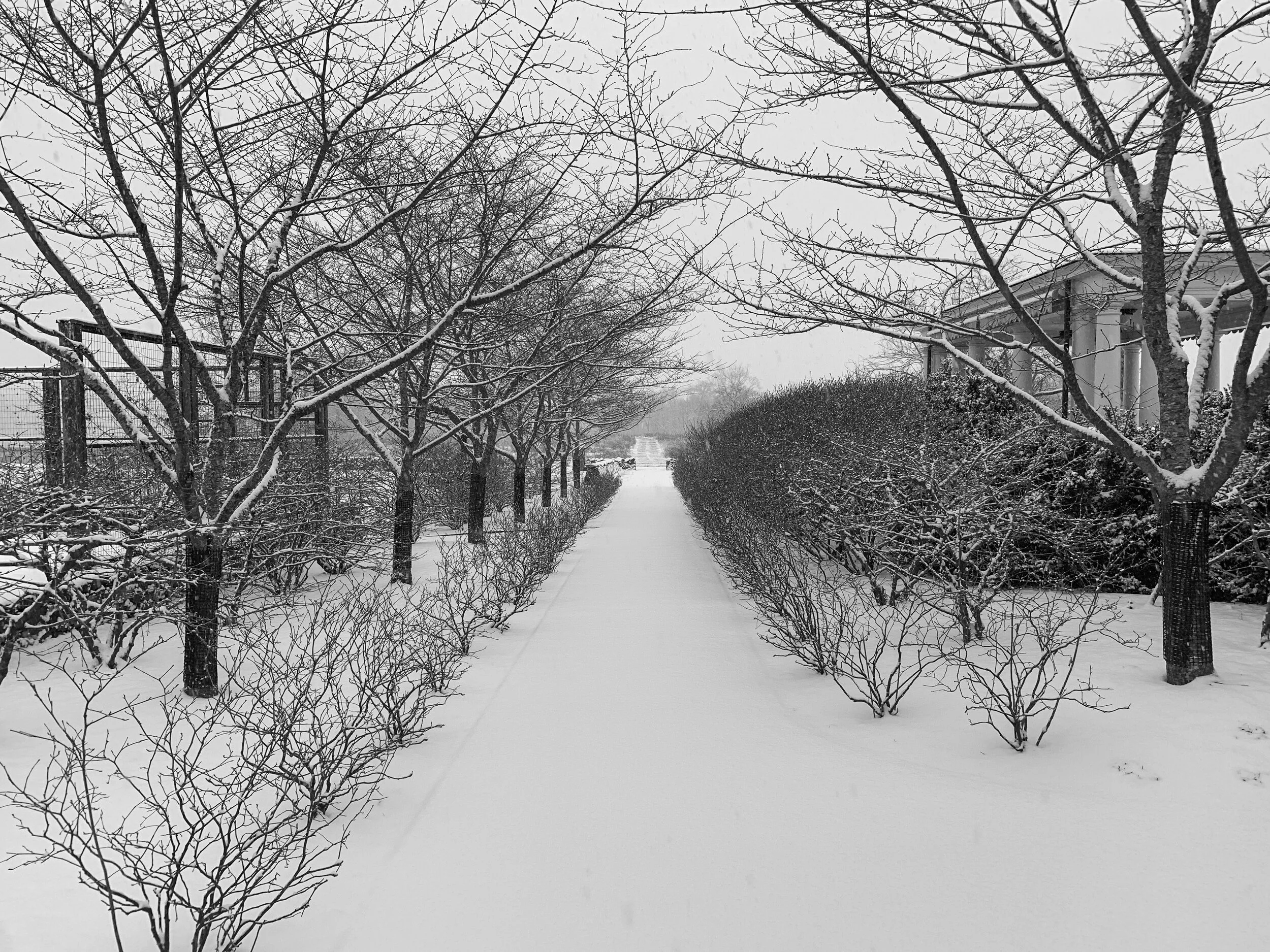 2021-01-31 07.42.16.jpg