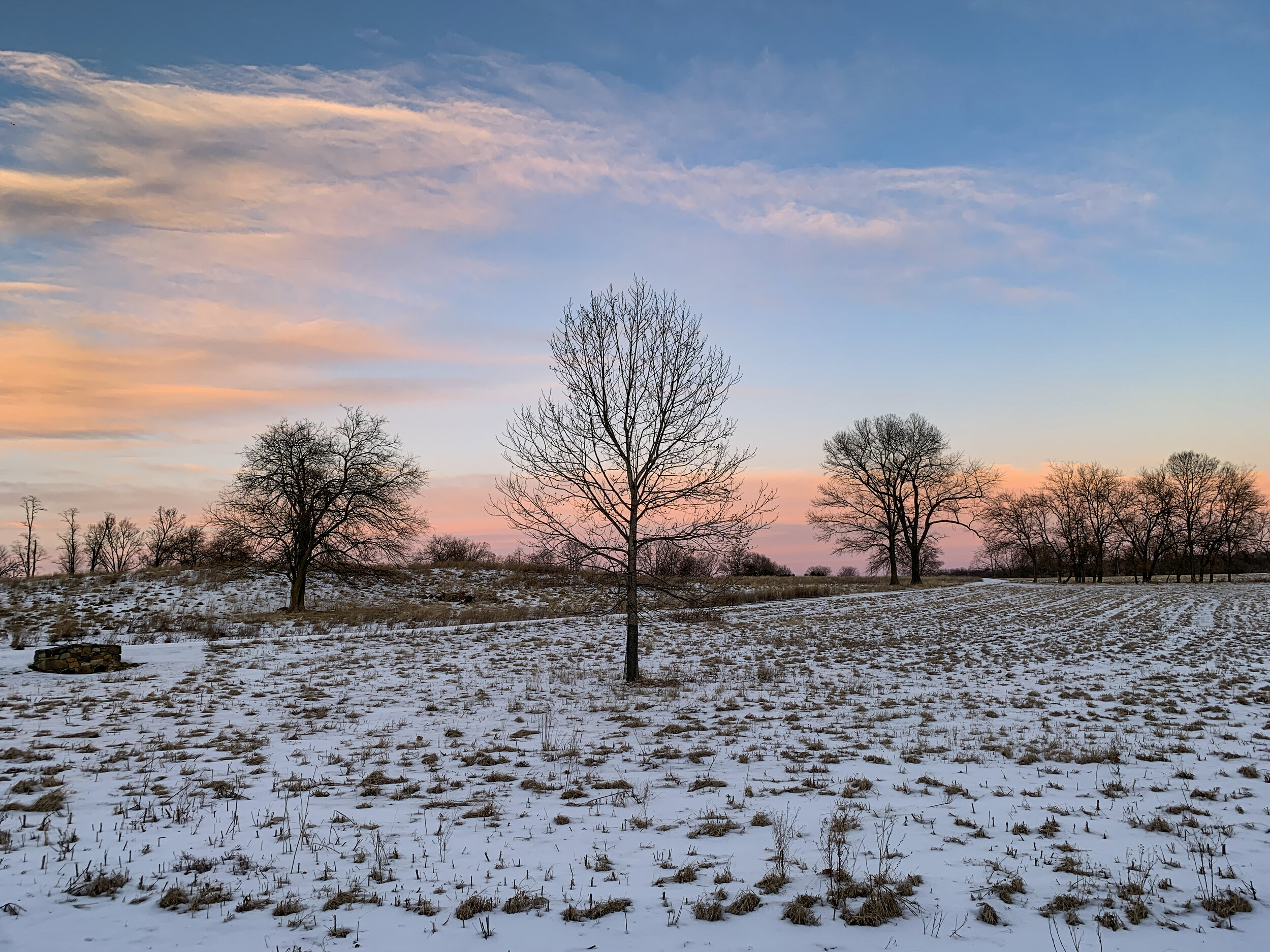 2021-02-03 17.33.26.jpg