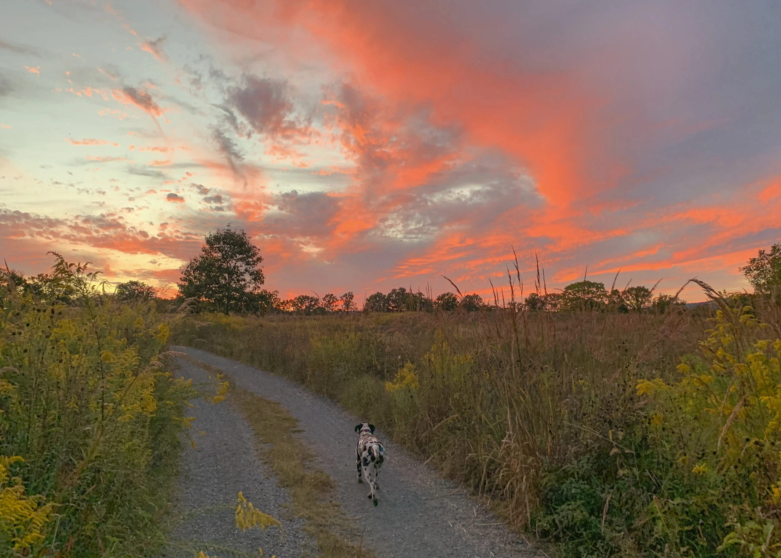 2020-09-27 19.09.31.jpg