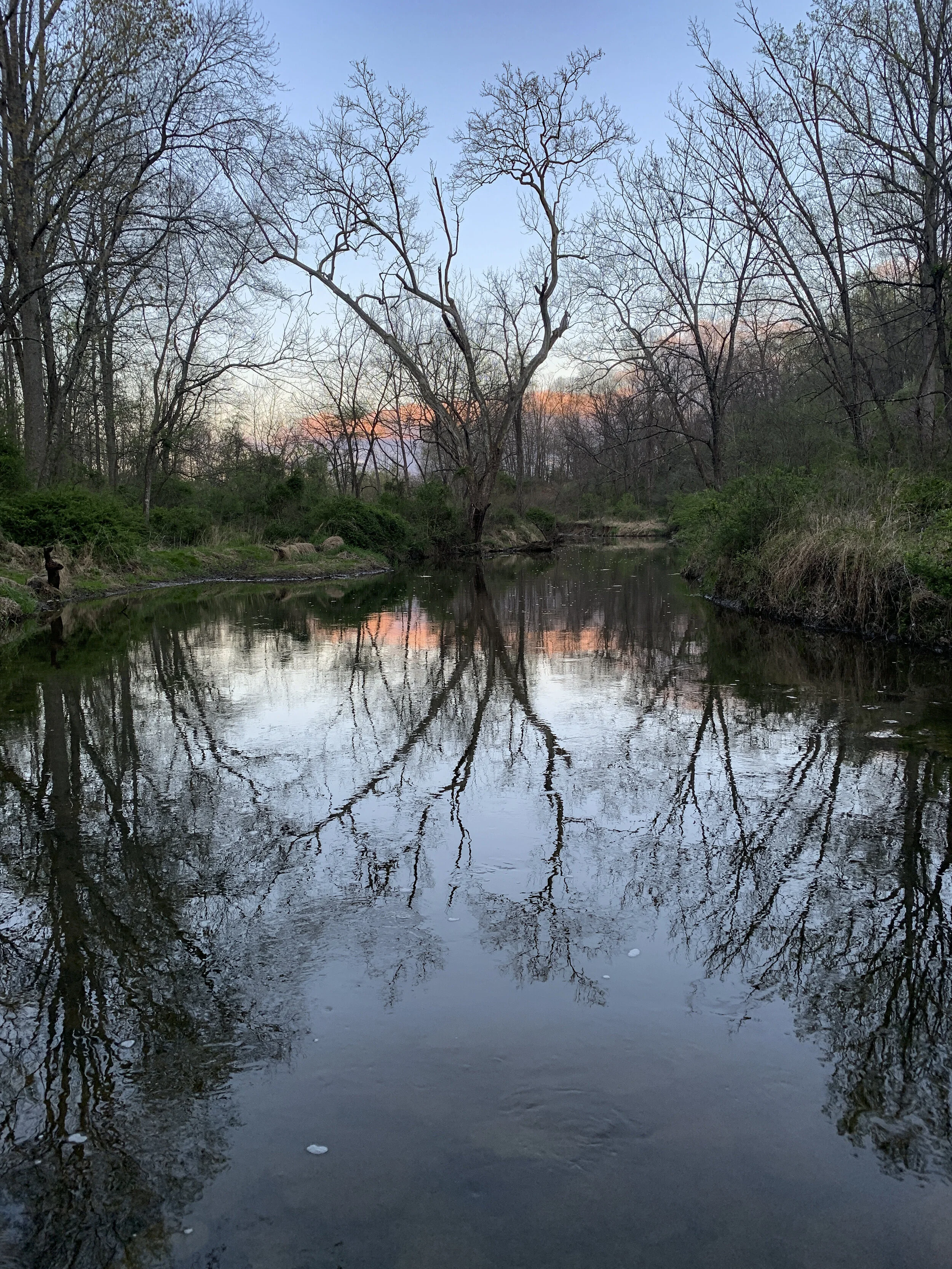 2021-04-16 06.44.55.jpg