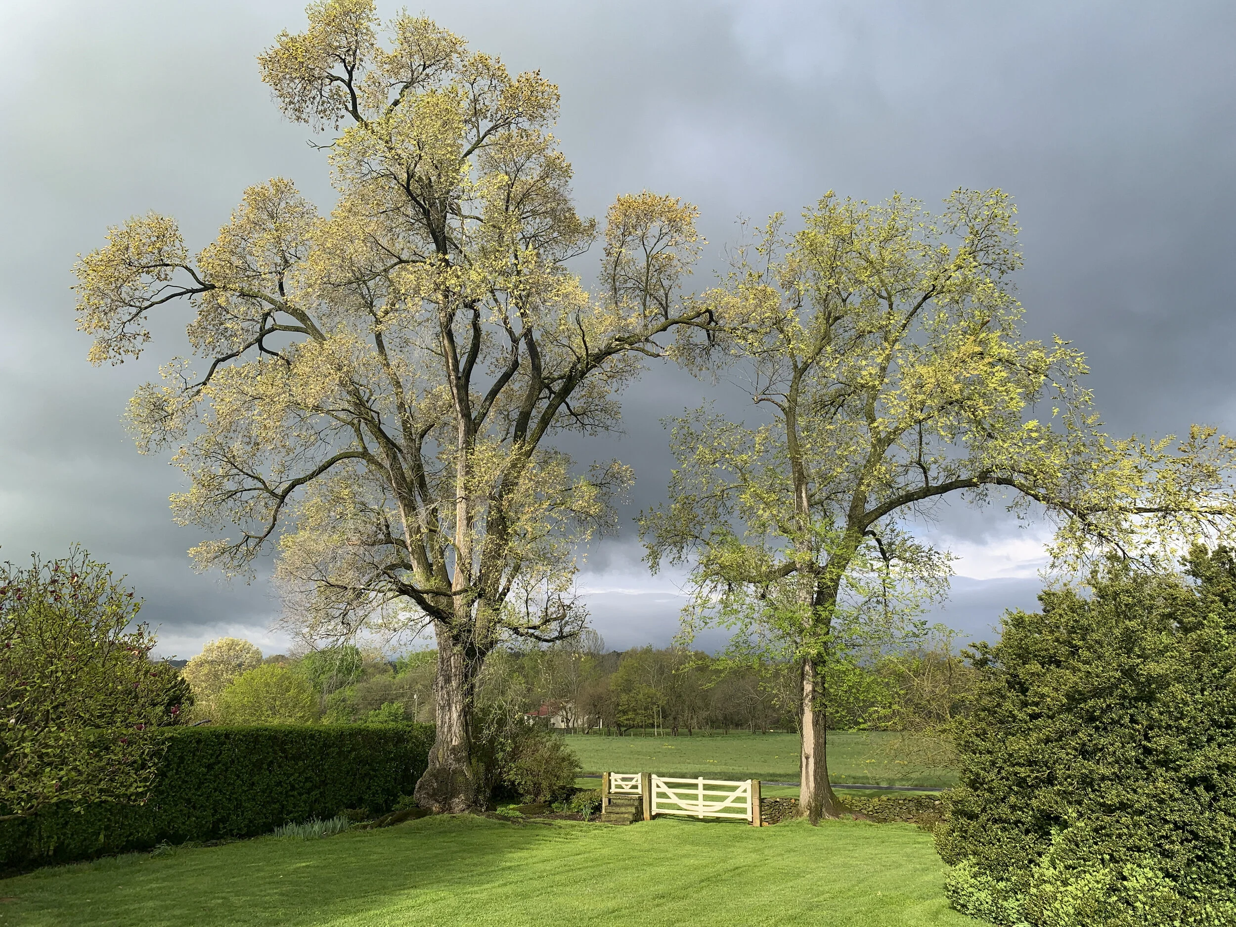 2021-04-25 08.17.55.jpg