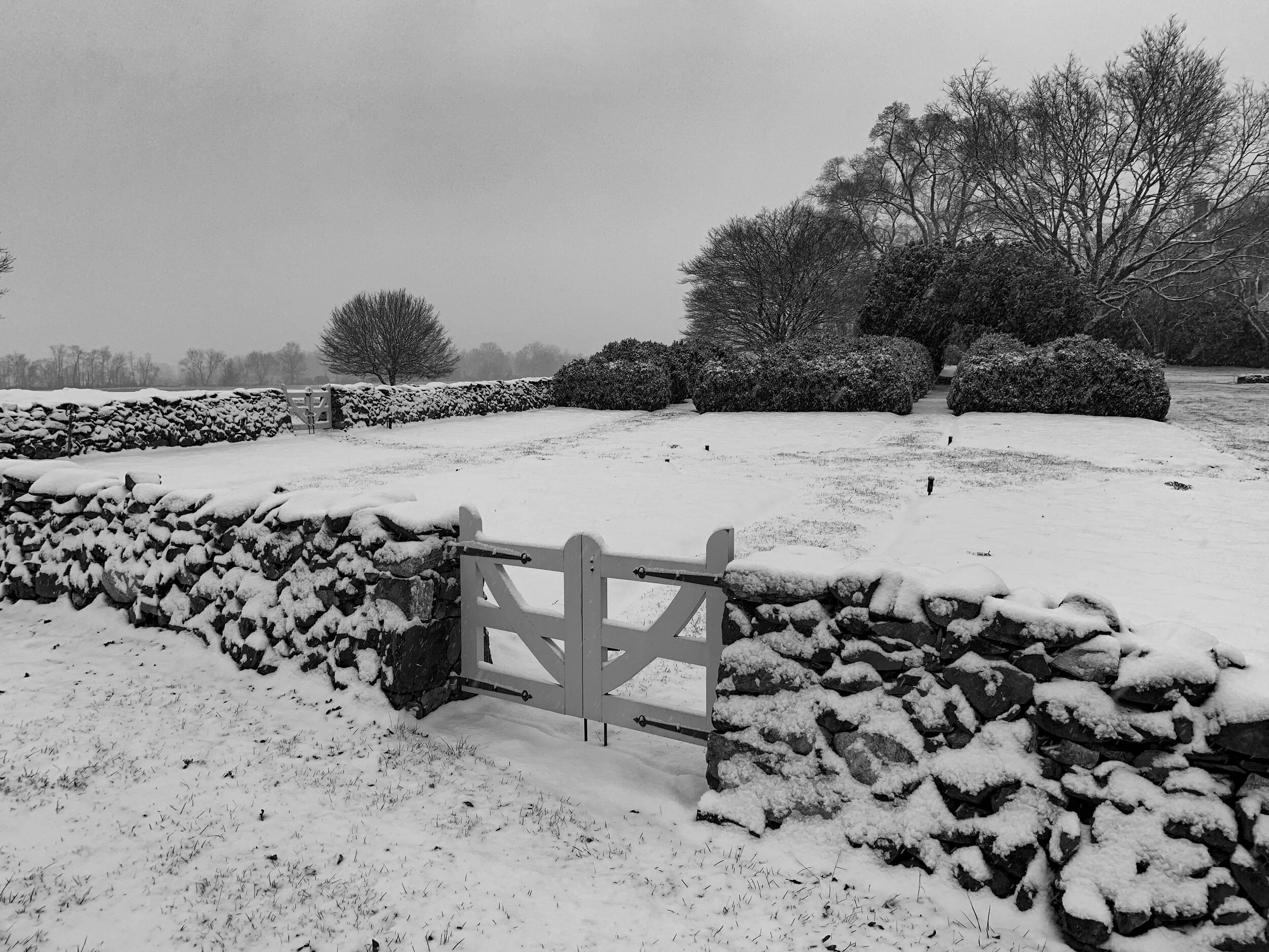 2021-01-31 07.44.08.jpg