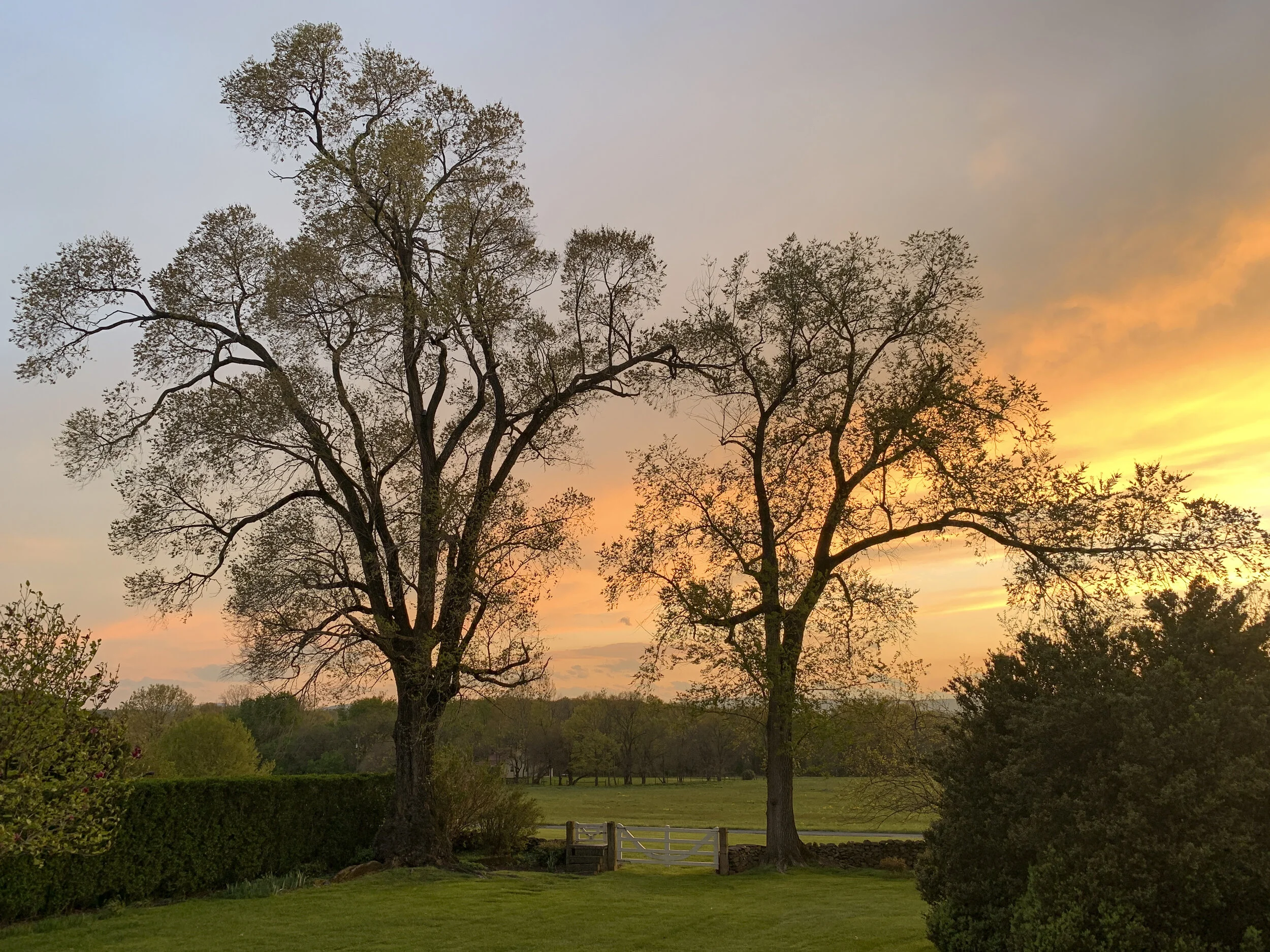 2021-04-25 19.55.24.jpg