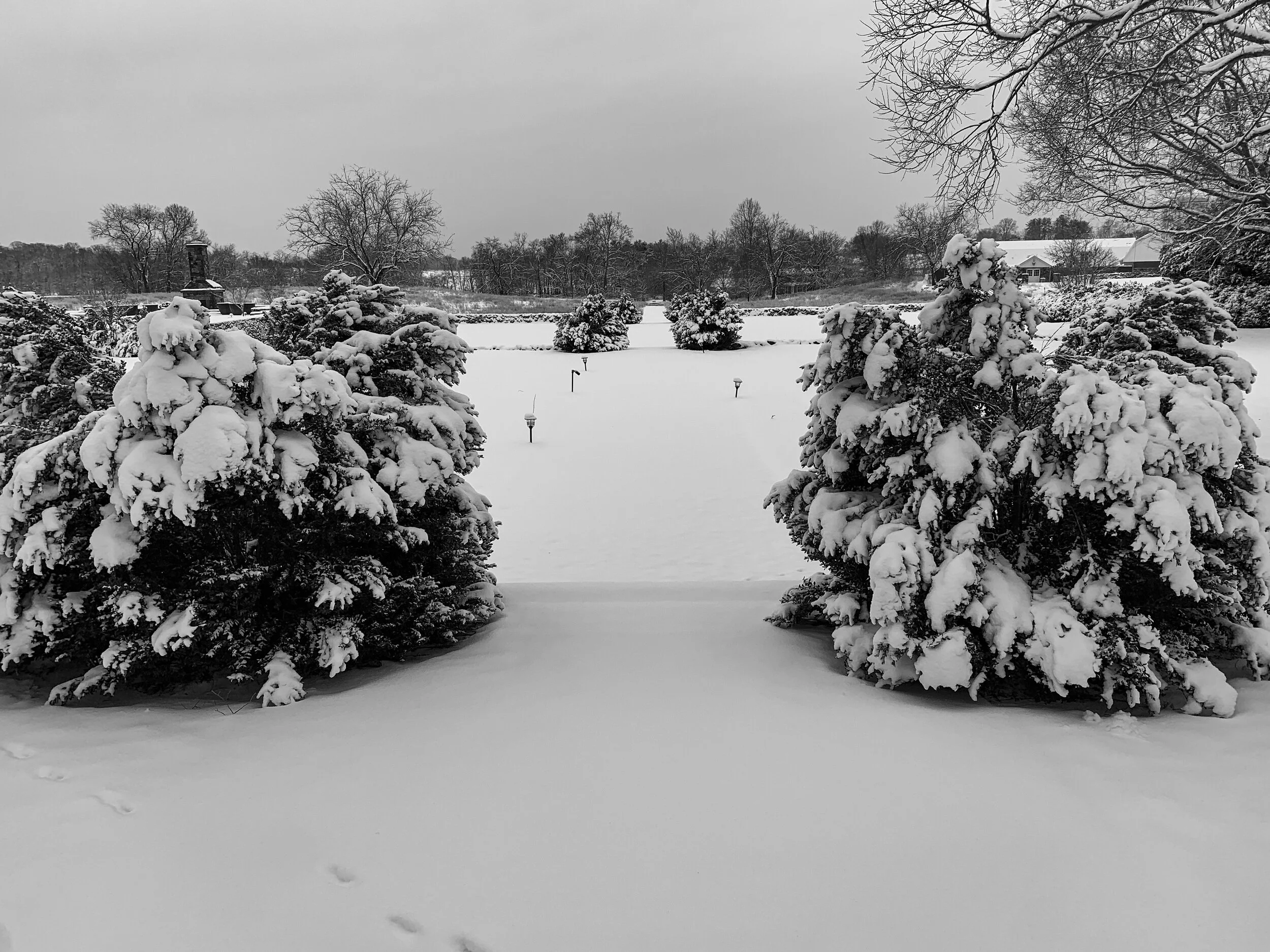 2021-02-01 08.19.24.jpg