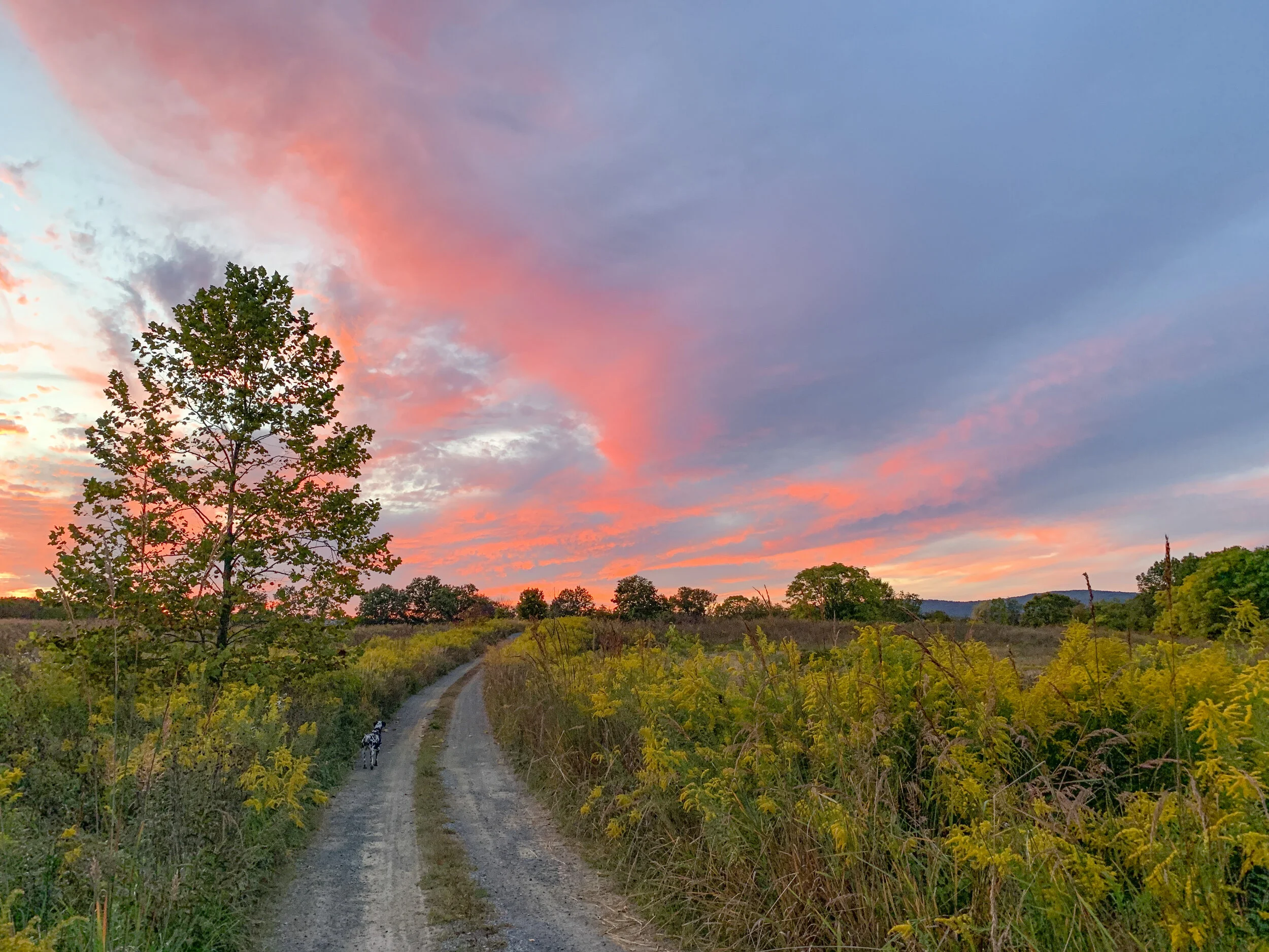 2020-09-27 19.10.30.jpg