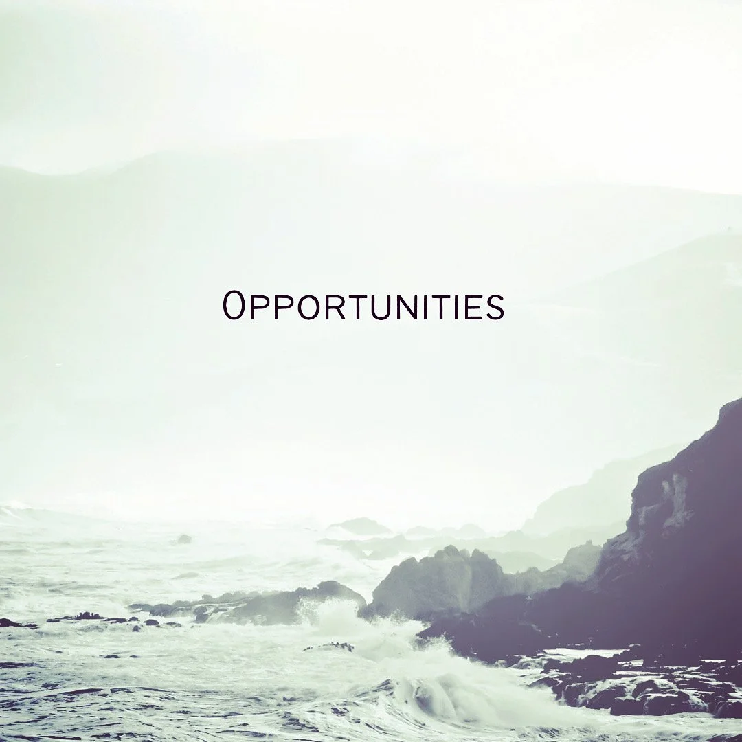 Opportunities