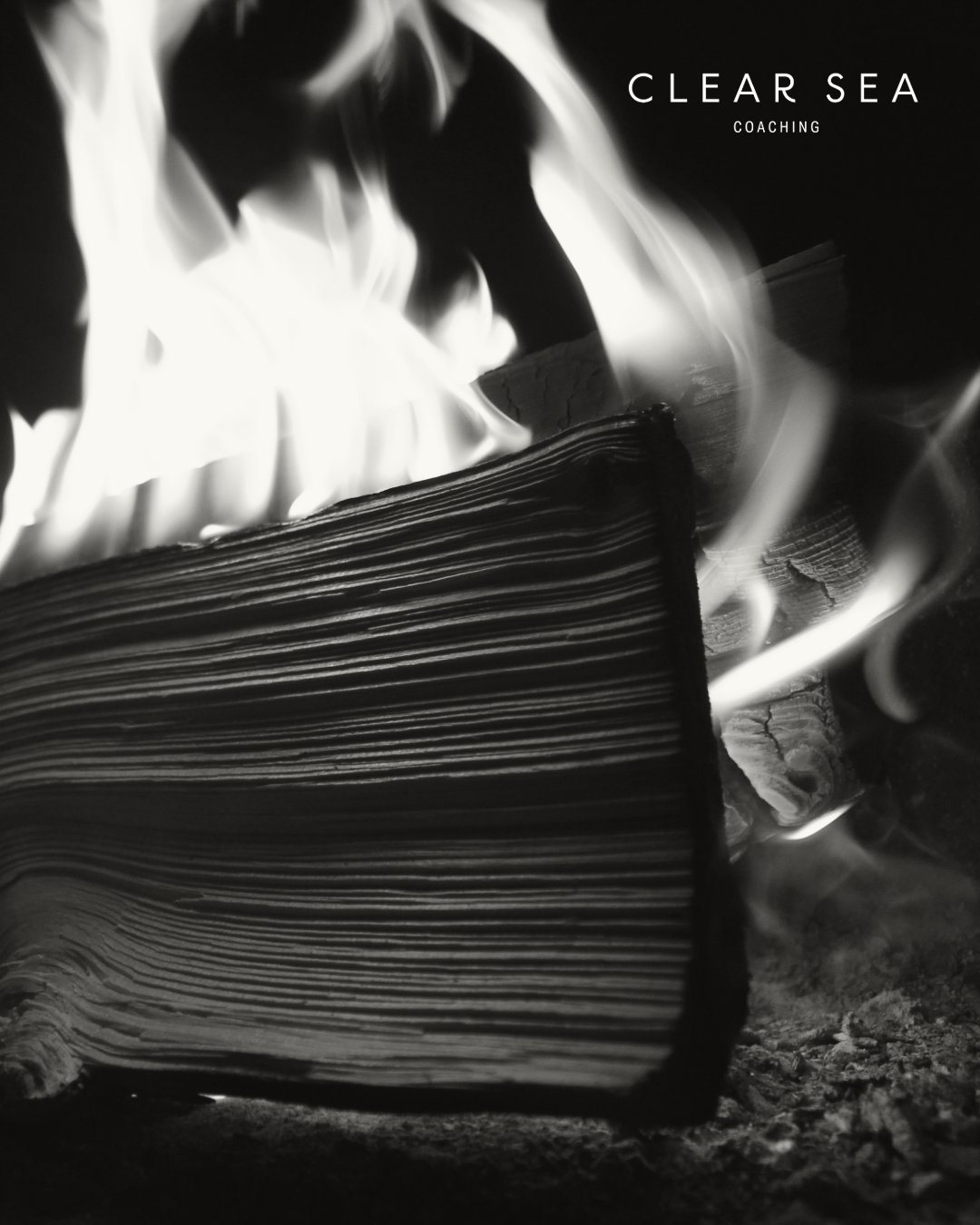 is it time to relight your fire? How to fall back in love with work