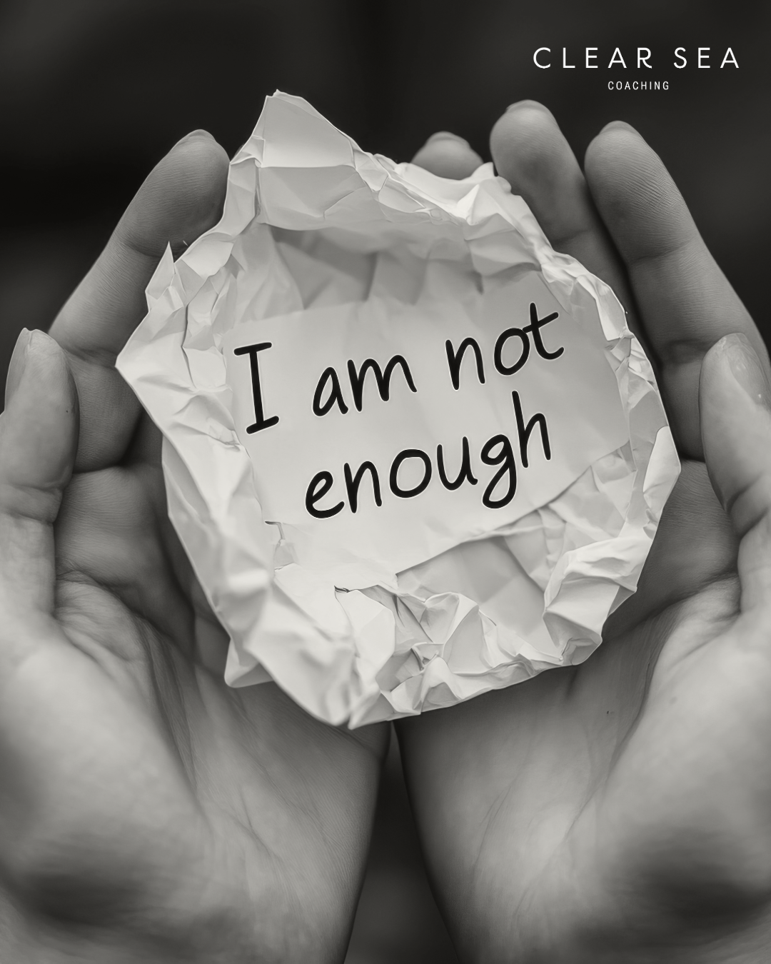 Don't Try to Defeat your Inner Critic; Make it Your Best Friend. A Charity Leader's Guide to Self-Trust&nbsp;