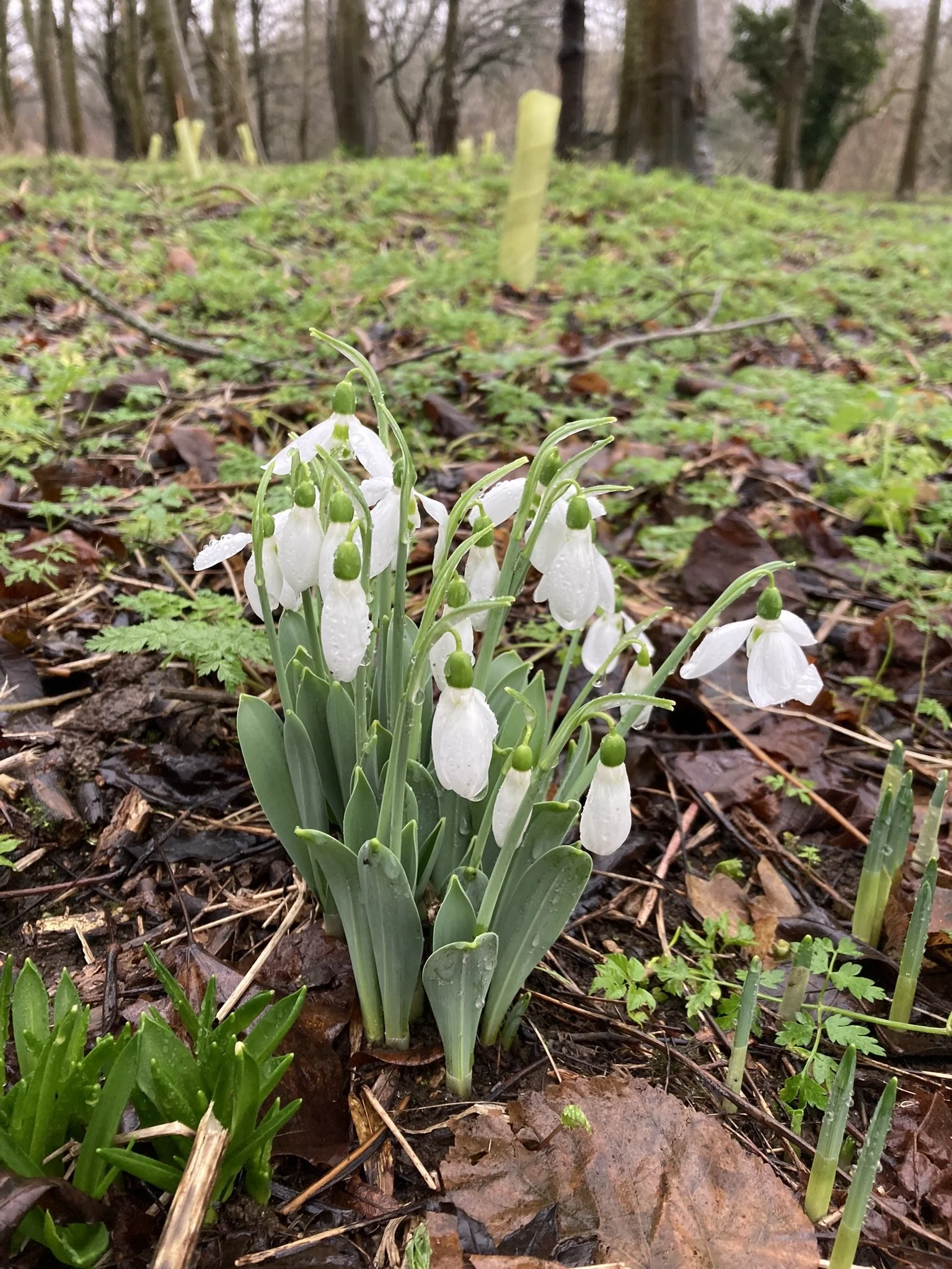 All things in their right time: The power of seasons and cycles.