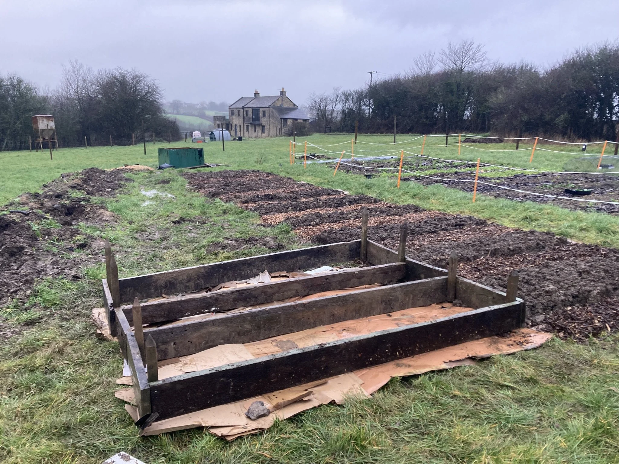 When a cardboard box made me cry…