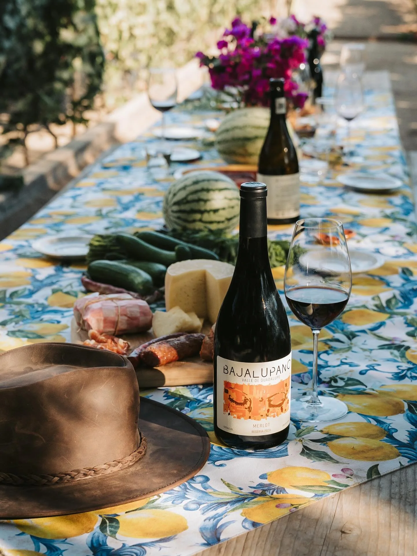 El vino Bajalupano se elabora con uvas del Valle de Guadalupe y Valle de San Vicente. Los suelos arcillosos que con su textura fina absorben y retienen la humedad necesaria para que la planta tenga lo que necesita. Ofrecen una alta fertilidad siempre