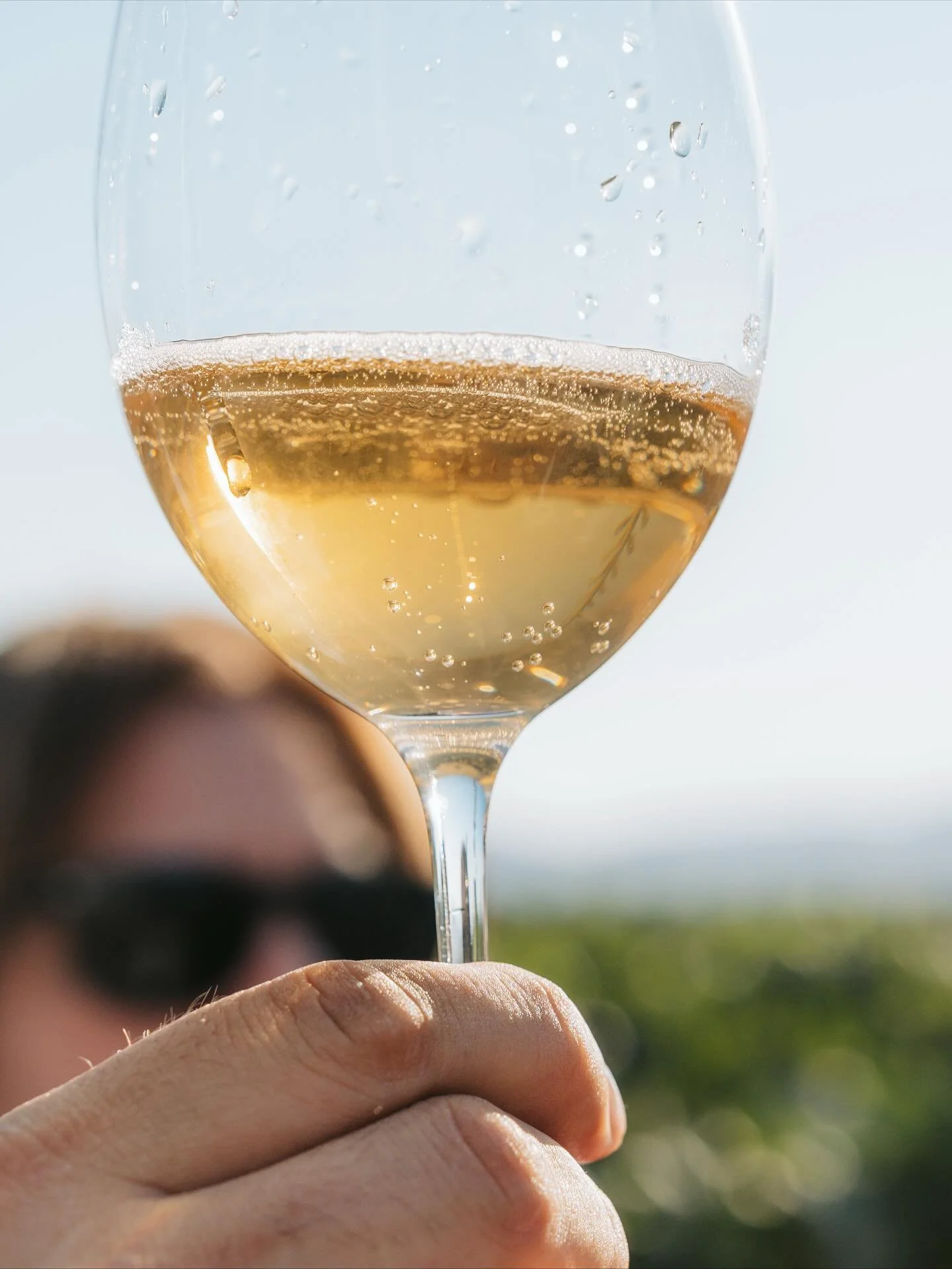 Cada a&ntilde;o, m&aacute;s vin&iacute;colas mexicanas producen su vino espumoso, entre ellas estamos varias vin&iacute;colas del Porvenir, utilizando m&eacute;todos ancestrales, tradicionales &amp; charmat con uvas de la regi&oacute;n que reflejan n