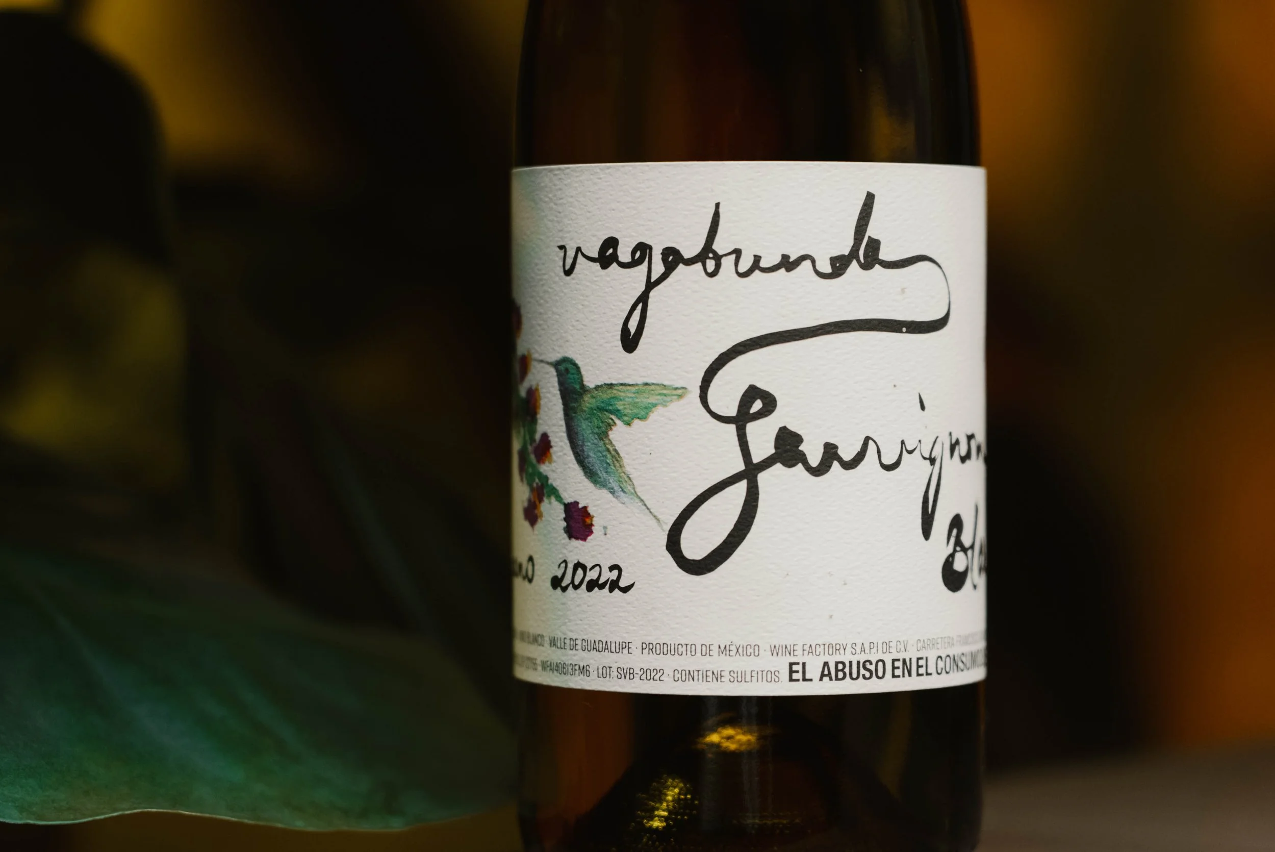 BAJALUPANO EXPERIENCIA-50.jpg