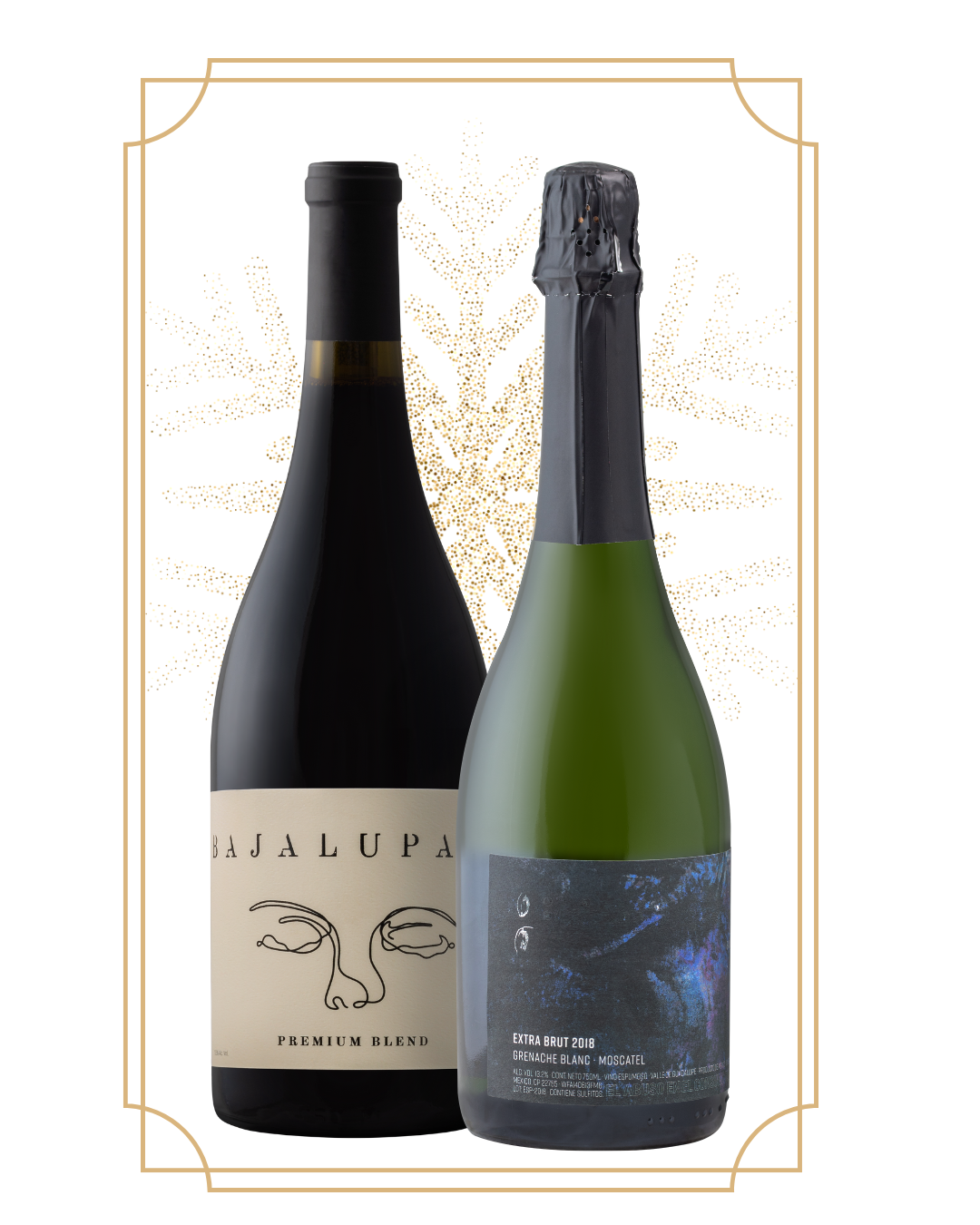 PAreja bajalupano. 2025.png