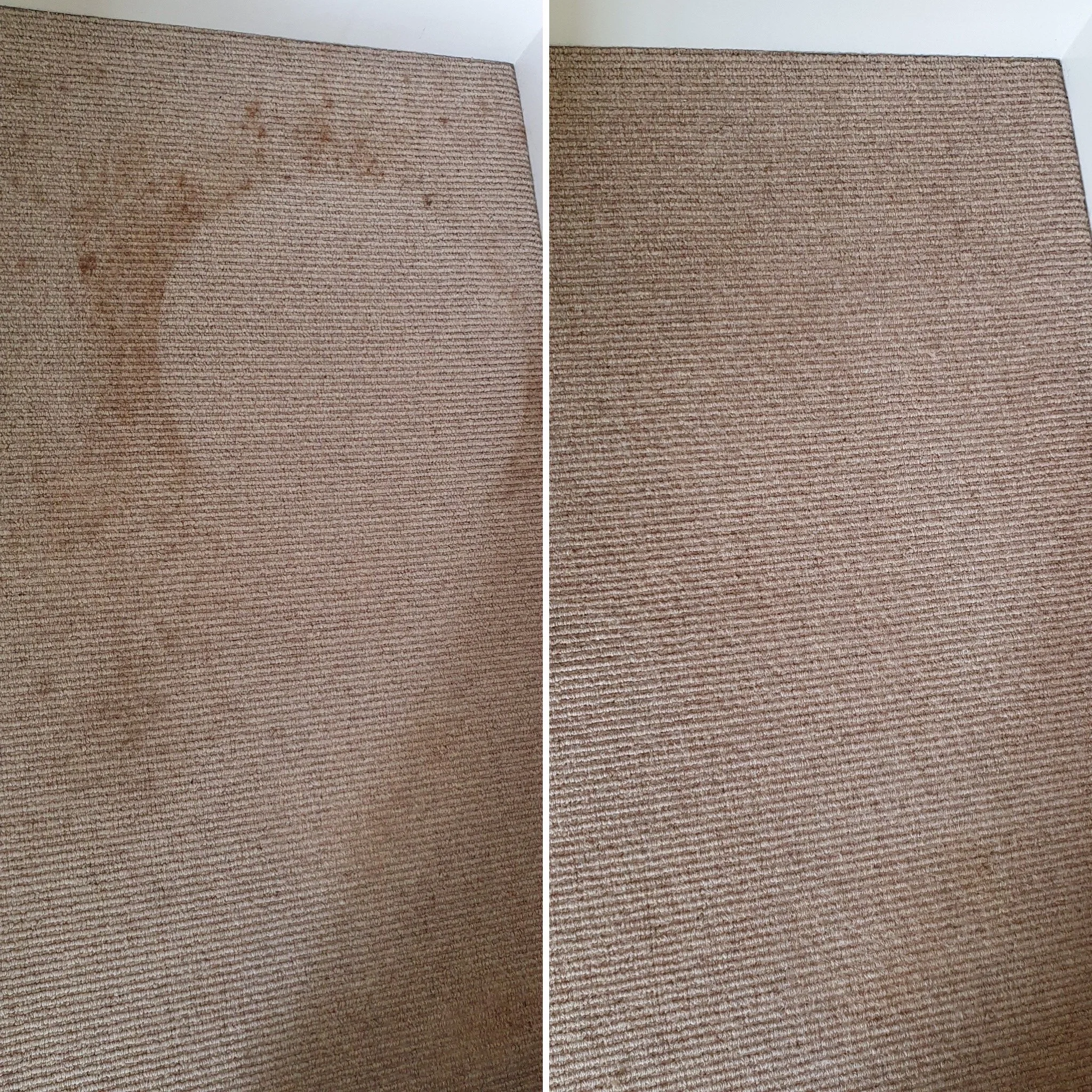 Deep carpet cleaning stain removal Hampshire