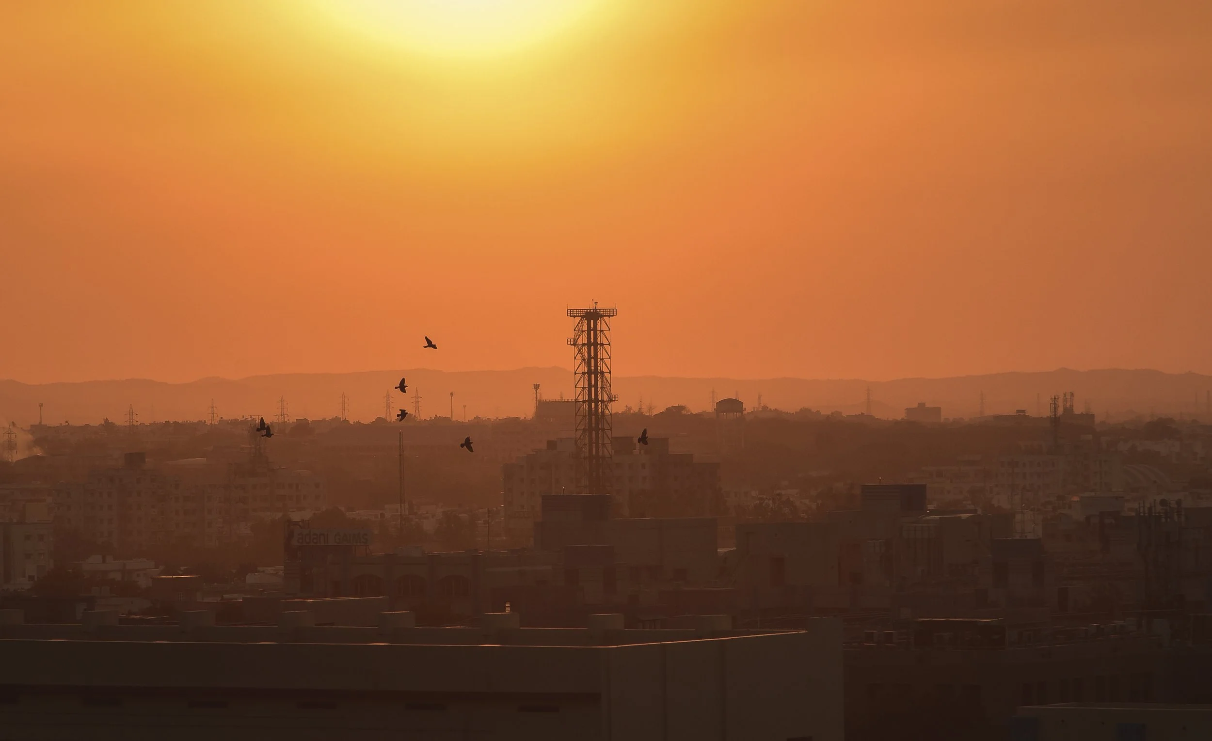 DSC_3346 (2020_02_04 07_32_27 UTC).JPG