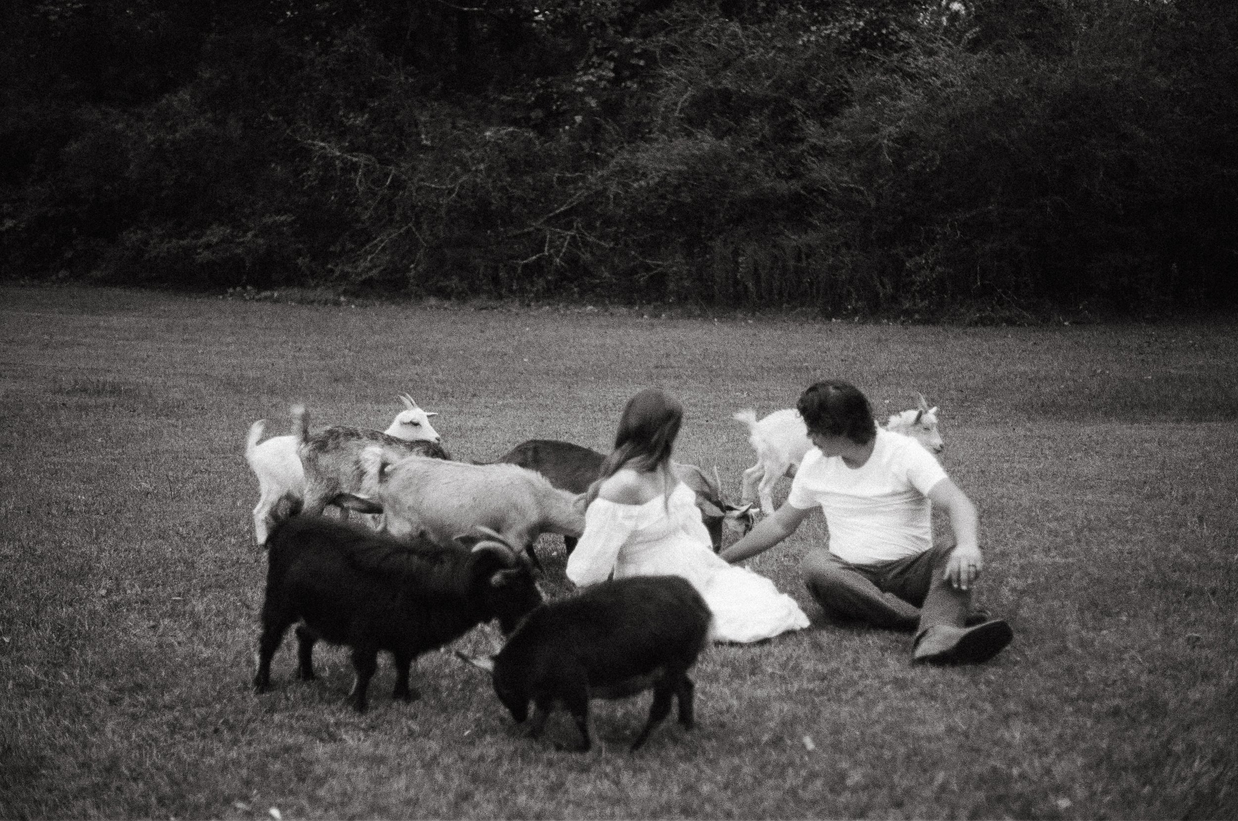 A black and white photo of a young girl and boy sitting on grass, feeding goats and pigs in an outdoor setting. on 35mm film
