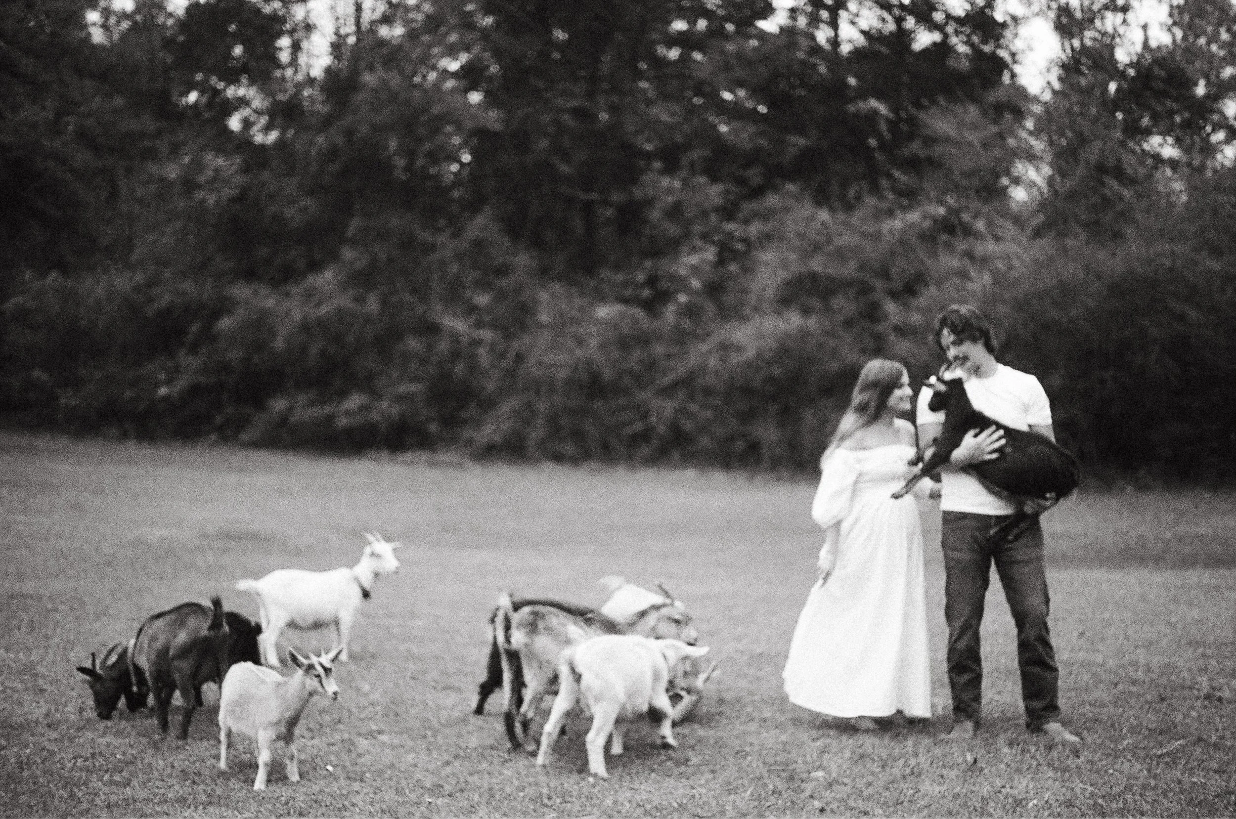 A black and white photo of a woman and a man with animals on a grassy field. The woman is dressed in a long flowy dress, and the man is holding a large black dog. There are goats and a pig on the grass, and trees in the background.