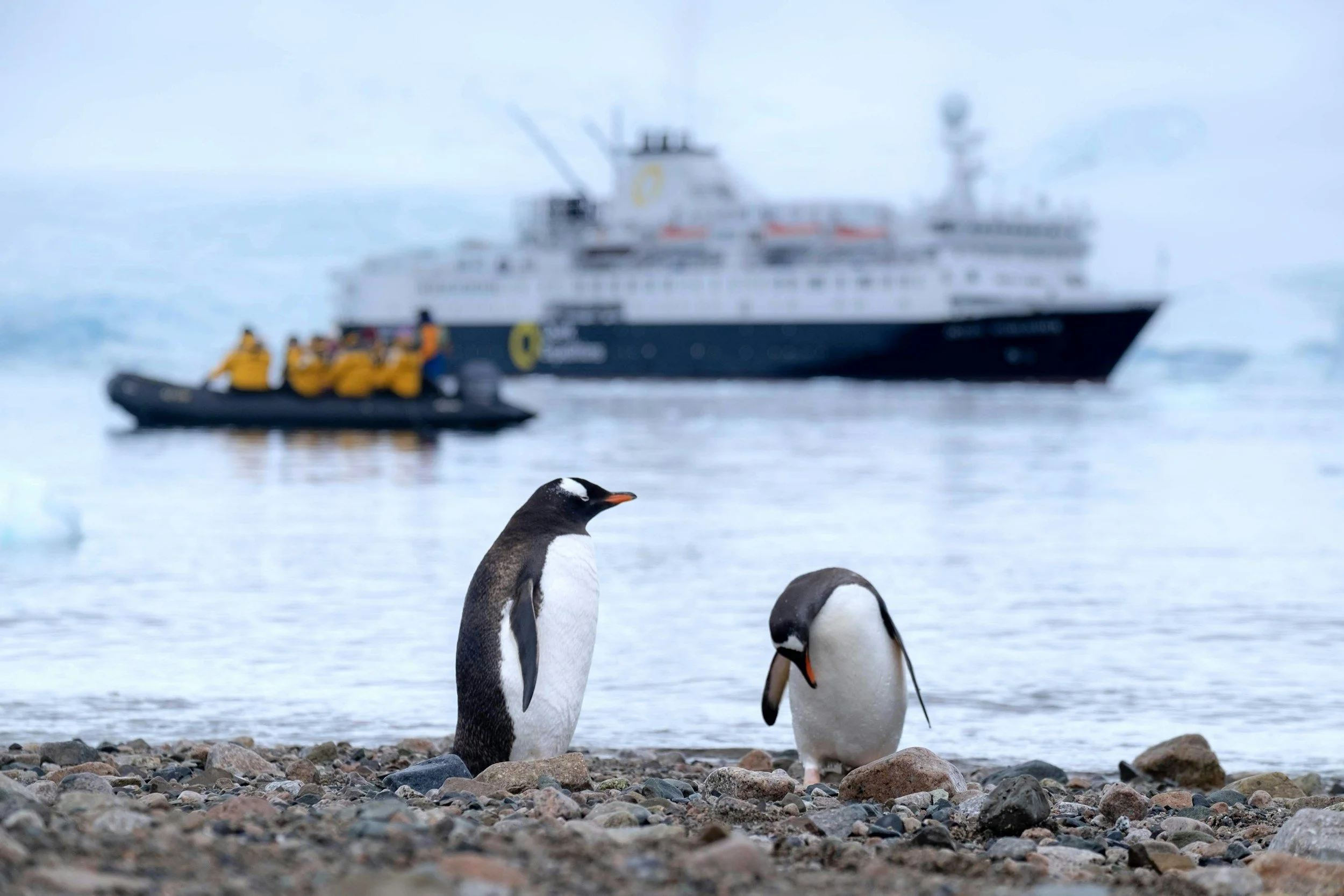 two penguins with a life boat and 8 people in yellow jackets in the background and a ship behind.