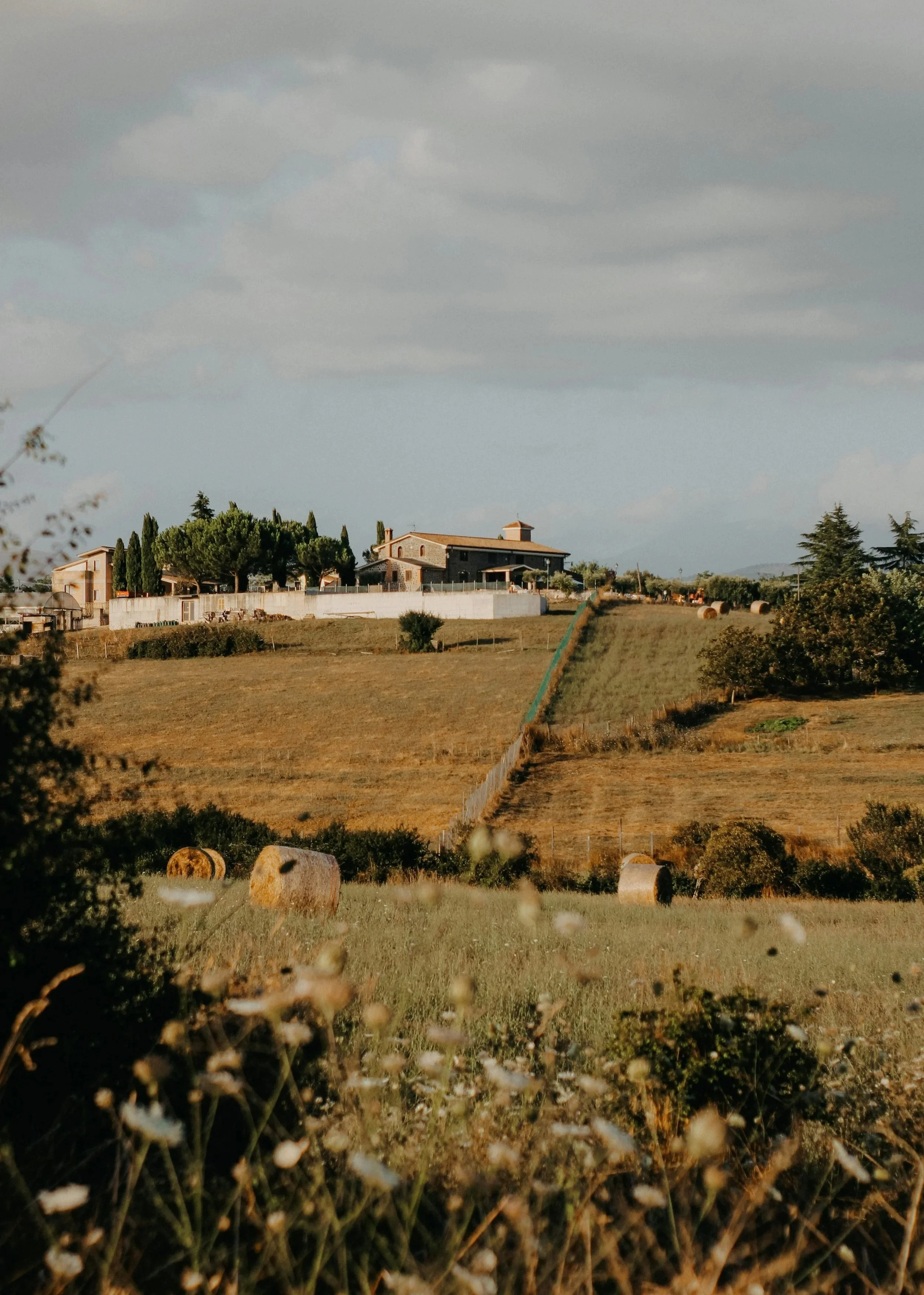 Photo of a farm house on a hill with hay fields and hay bales and tall trees