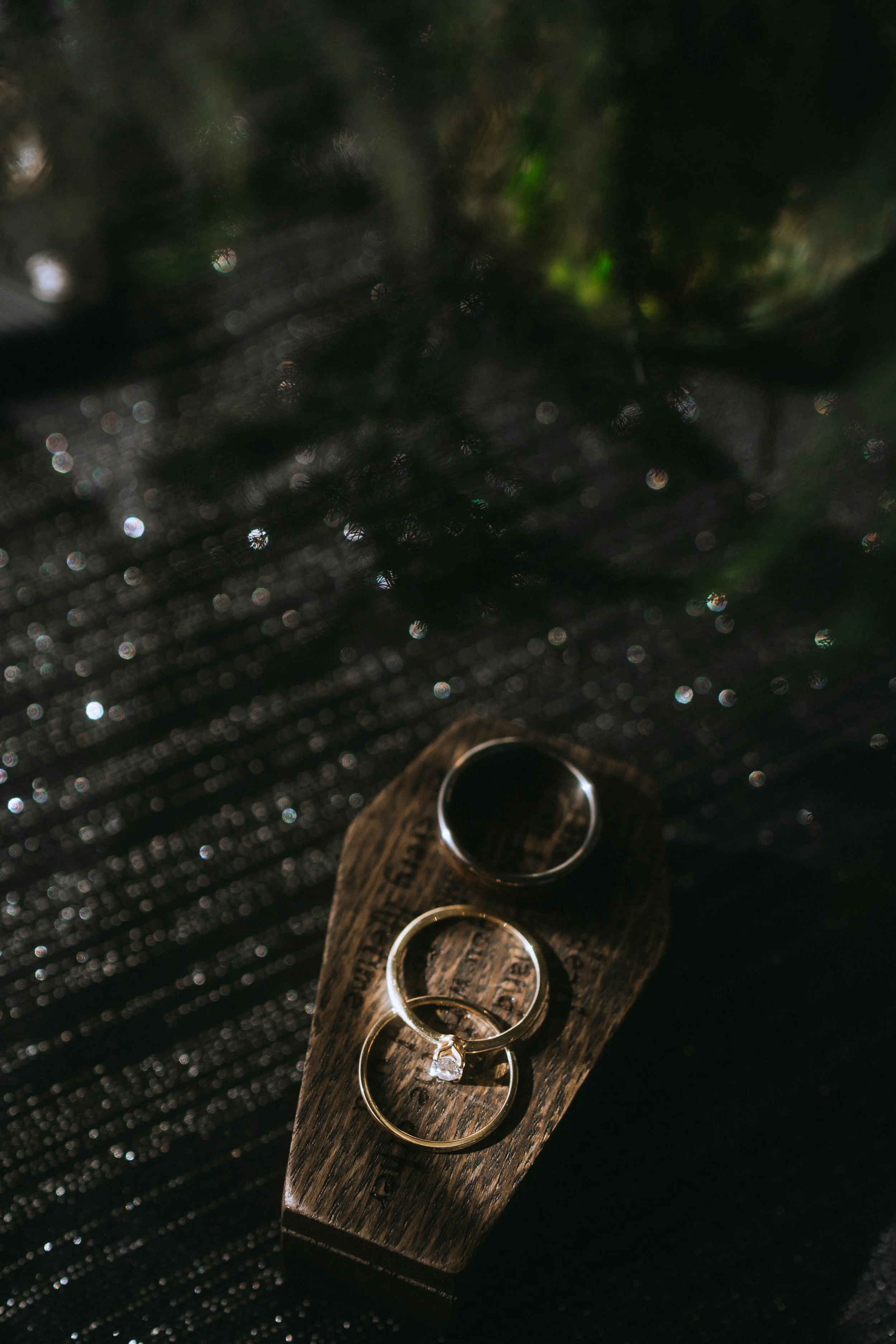 Wedding rings displayed on a wooden holder with soft, moody lighting and textured background, styled for a non-traditional wedding detail shot