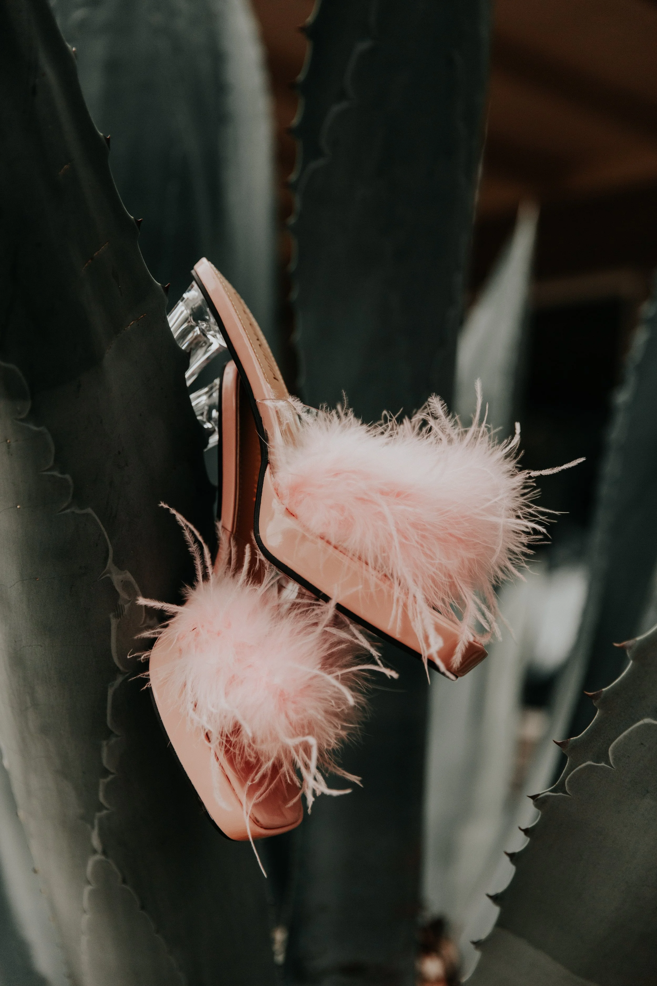 Pink feather bridal heels styled between agave plants for wedding detail photo