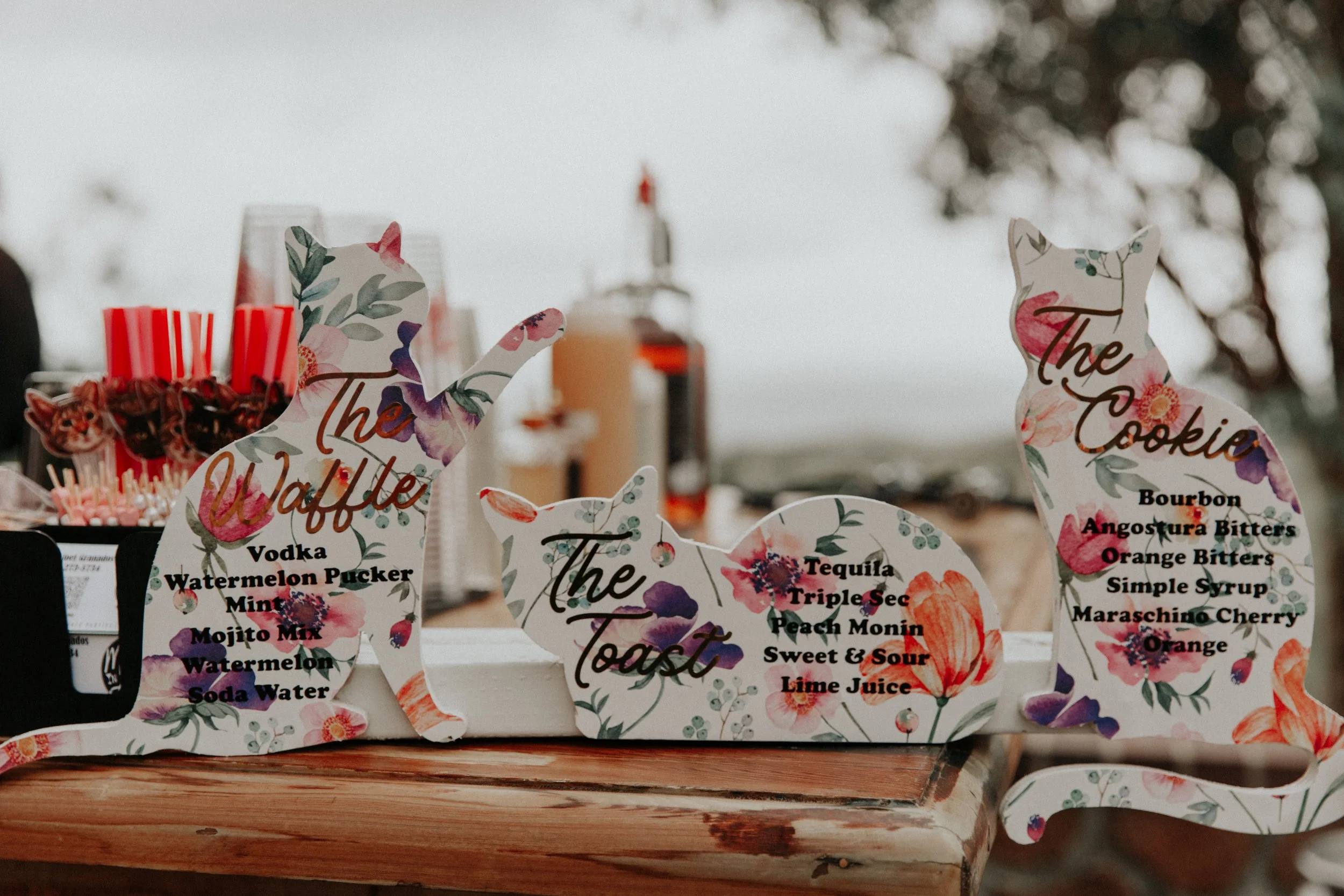 Custom cat-shaped cocktail menu signs displayed at a colorful alternative wedding bar setup