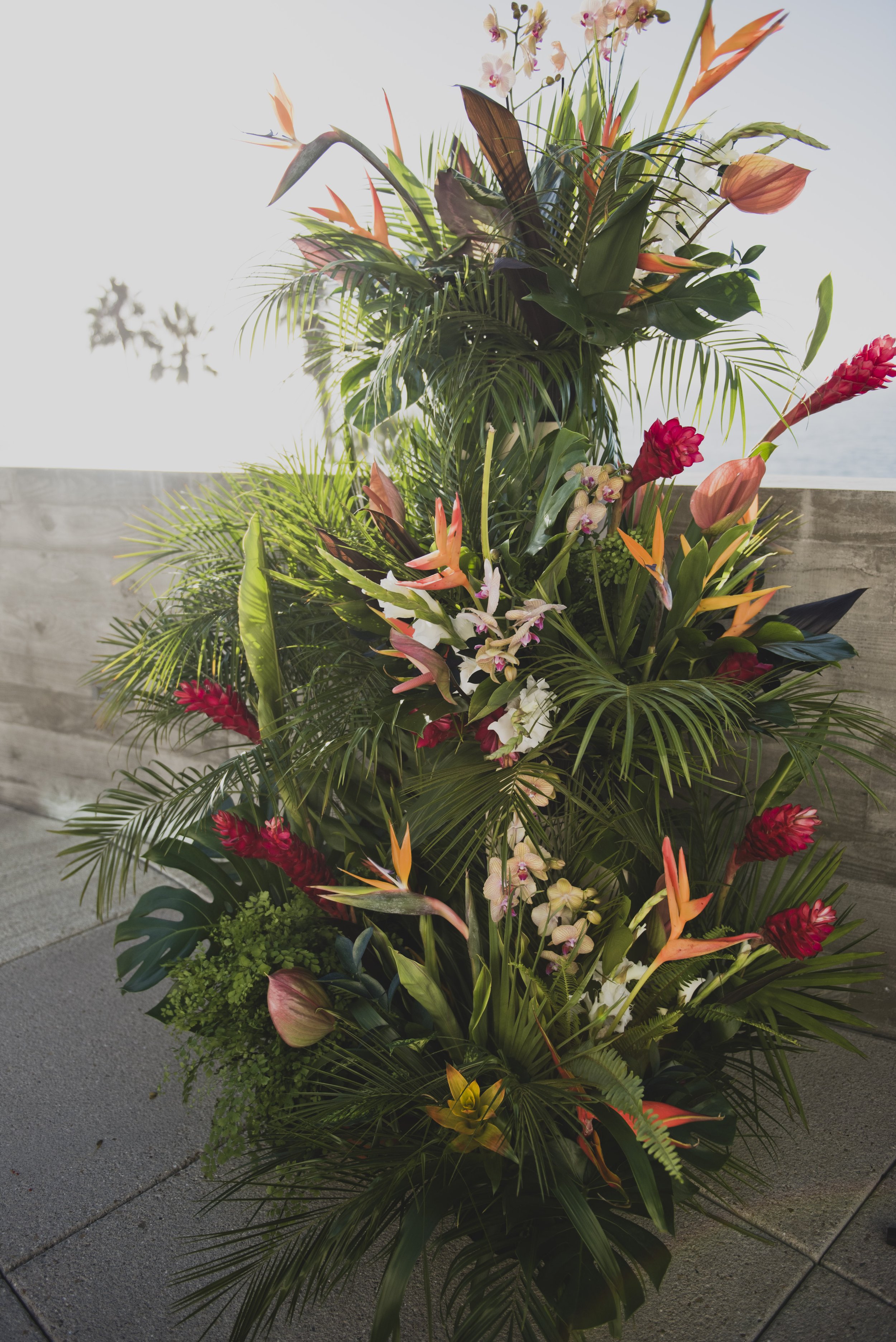 Close-up of tropical wedding ceremony flowers featuring birds of paradise, orchids, anthuriums, and lush greenery in a modern floral installation.