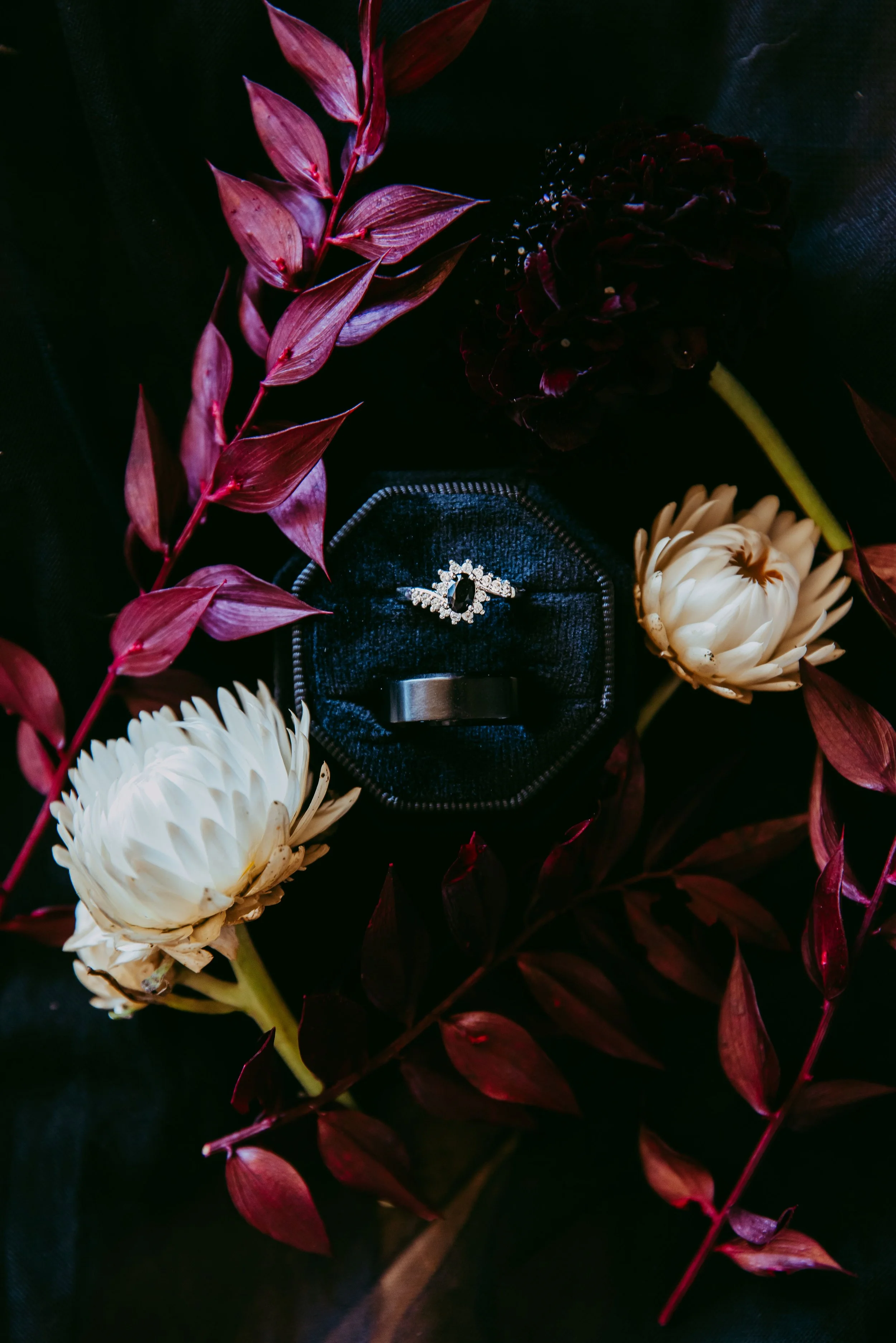 Wedding rings resting on a textural stone surface for a Scar-themed shoot